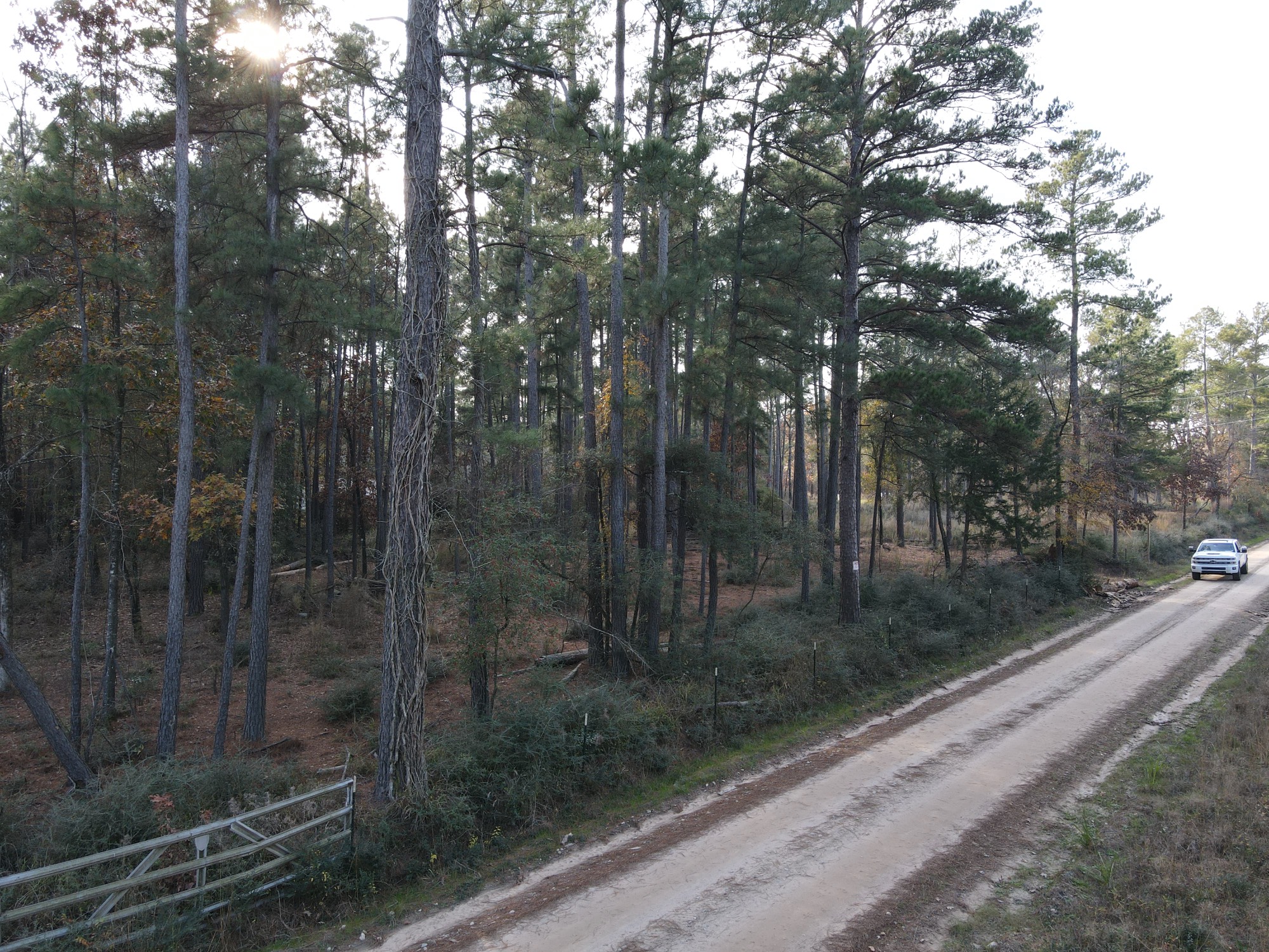 Lot 3 County Road 4025 Property Photo