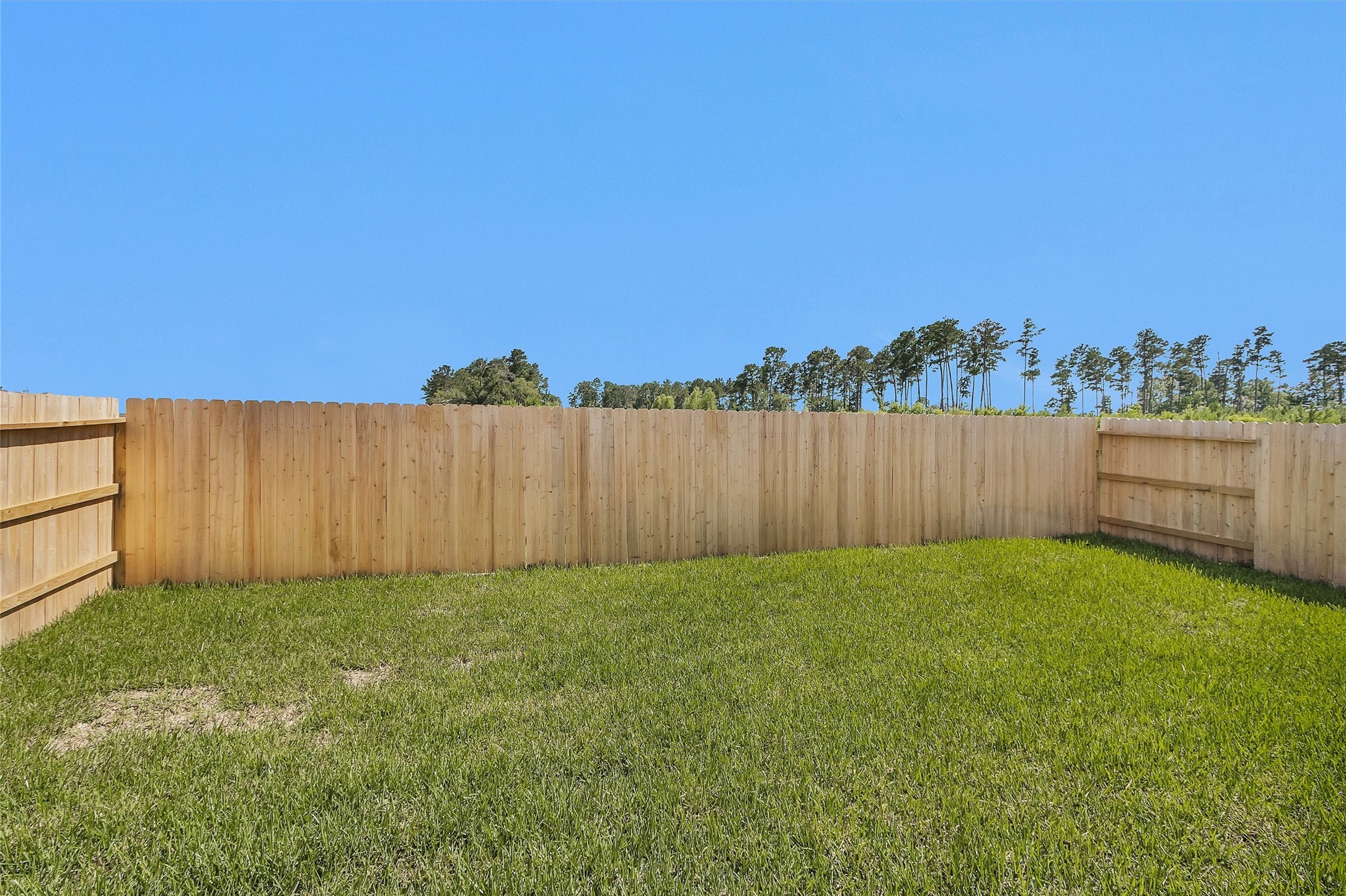 40741 Mostyn Lake Drive Property Photo 18