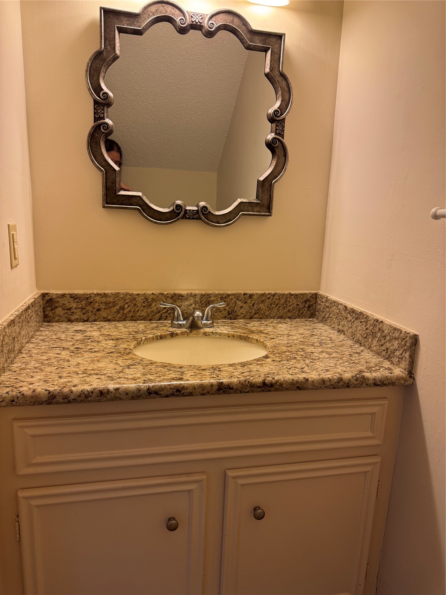13784 Hollowgreen Drive Property Photo 10