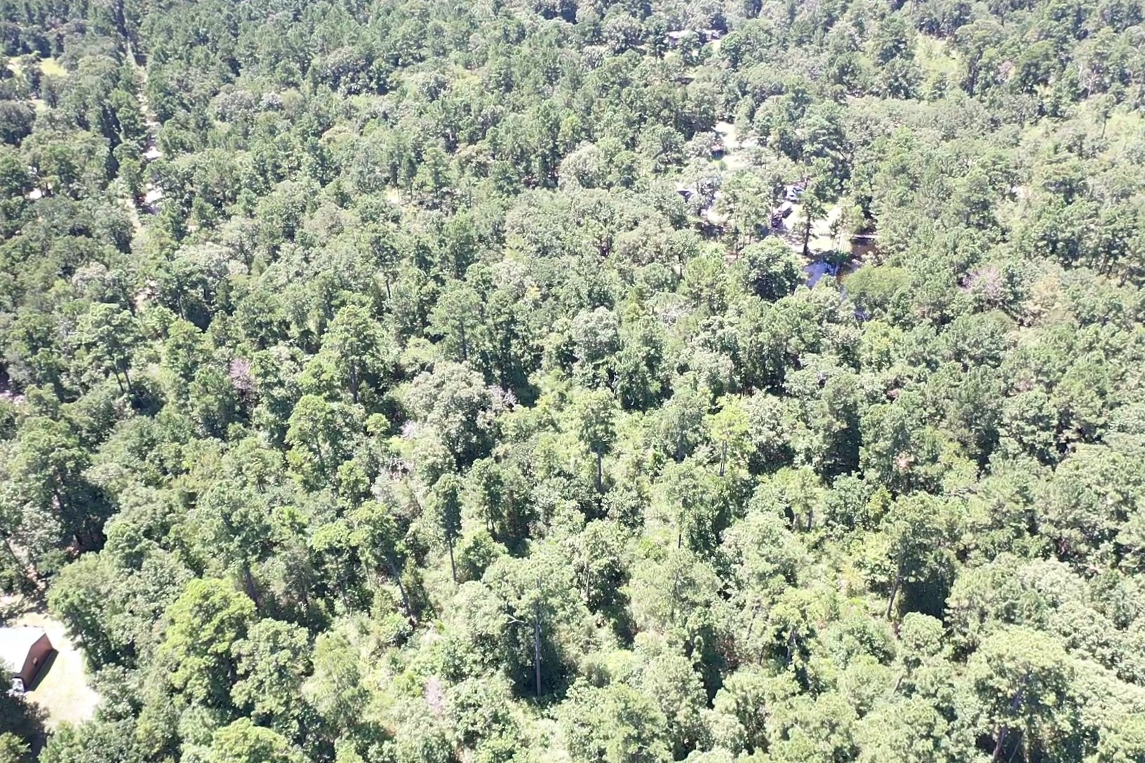 9175 Rocky Ridge Lane Property Photo 10