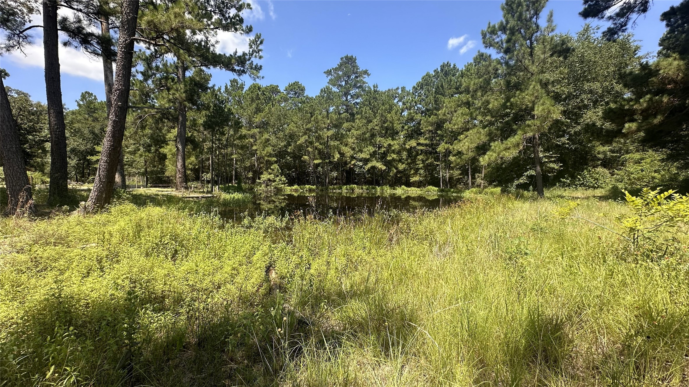 9175 Rocky Ridge Lane Property Photo 25