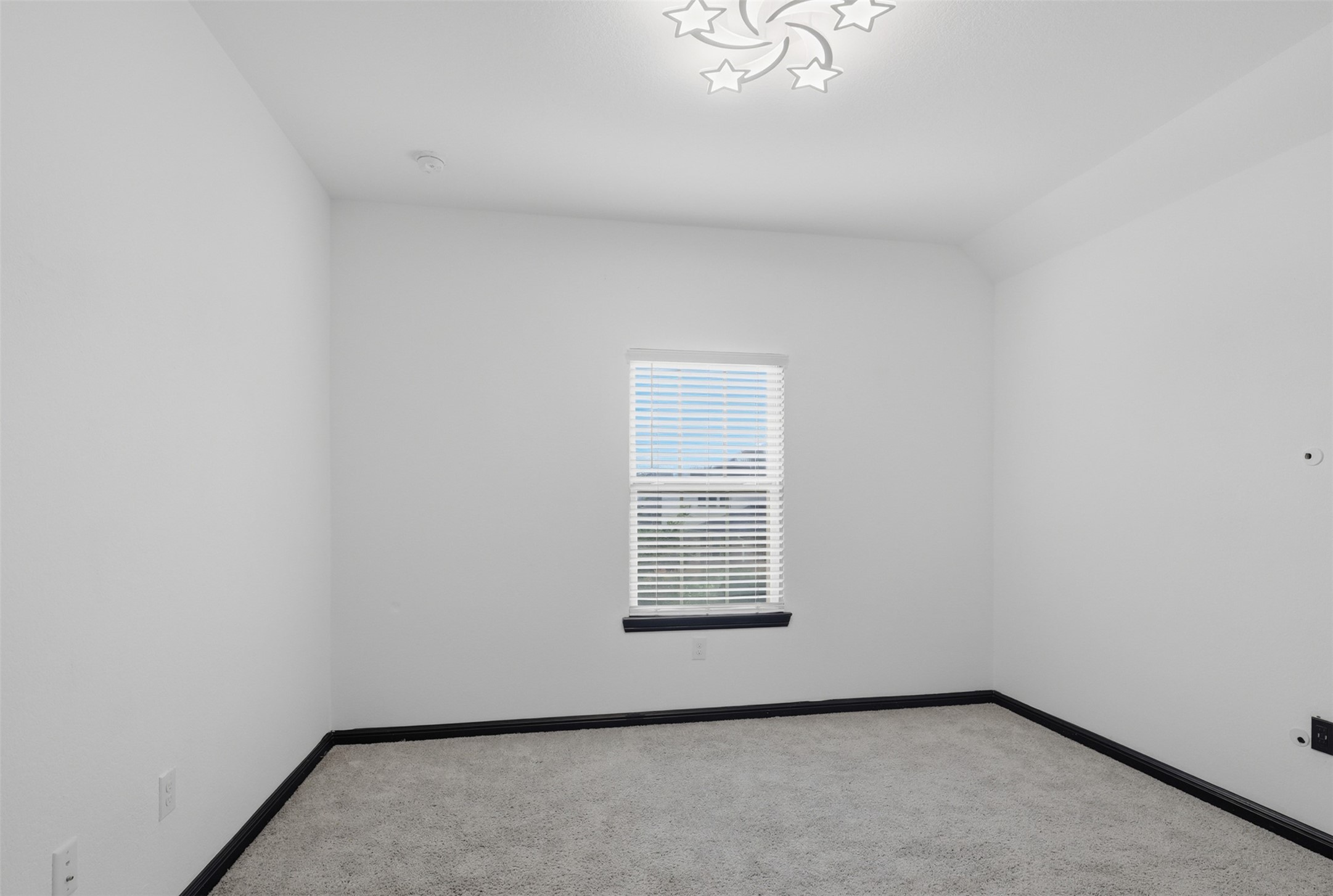 27947 Hendrix Park Drive Property Photo 24