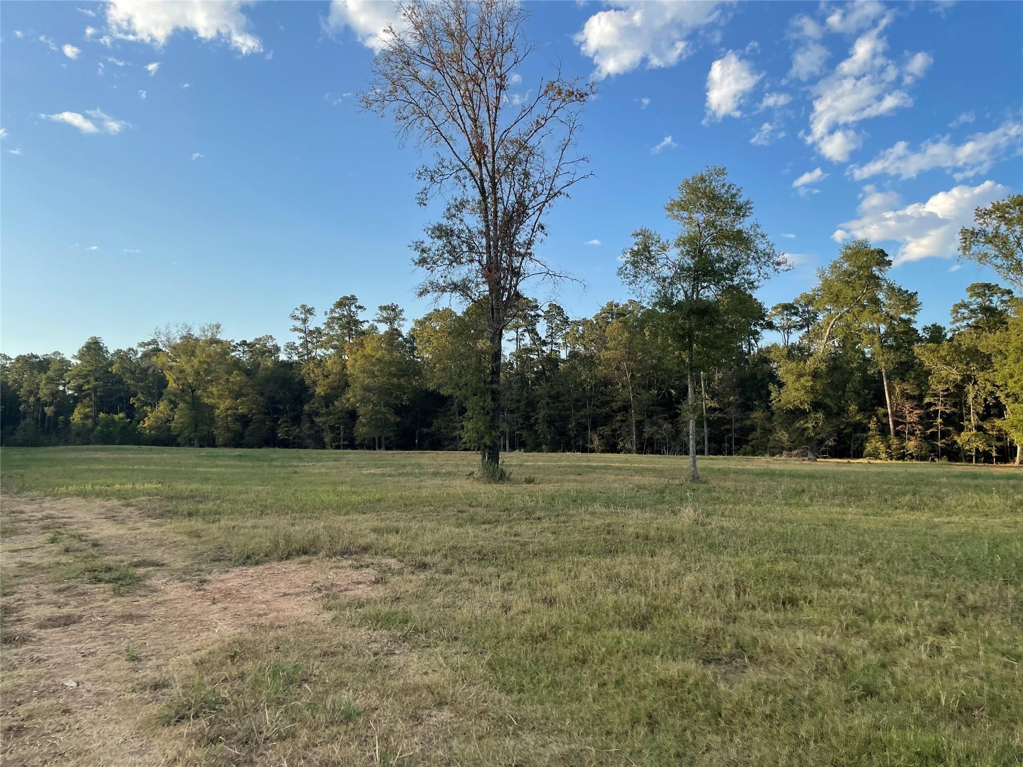 Tbd Farm Road 3126 Property Photo