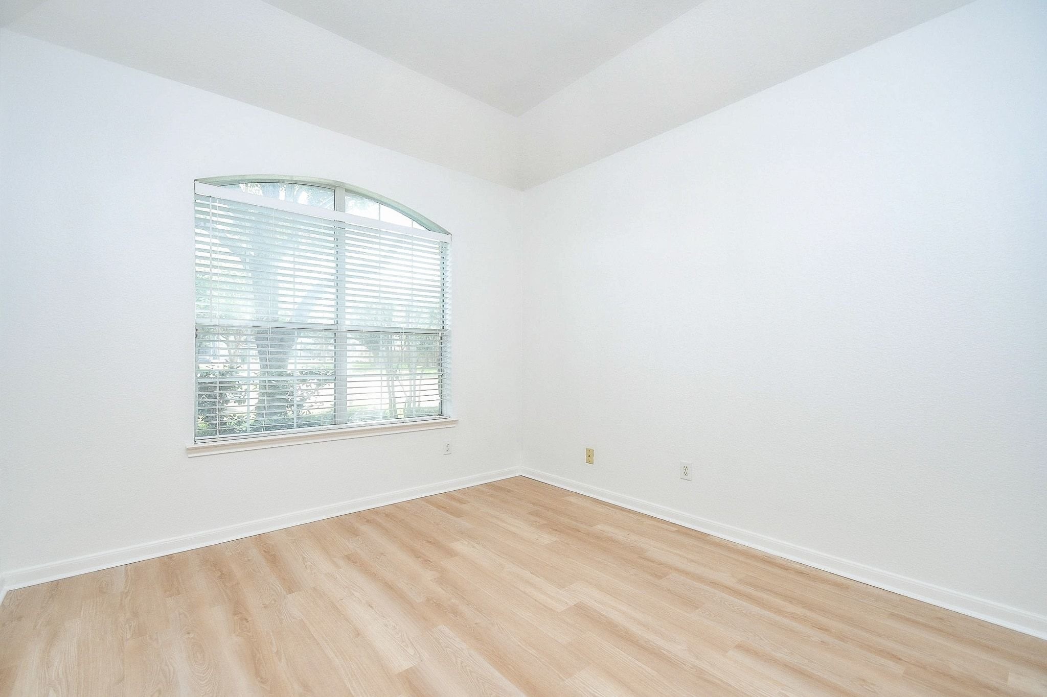 25306 Pepper Sage Lane Property Photo 5