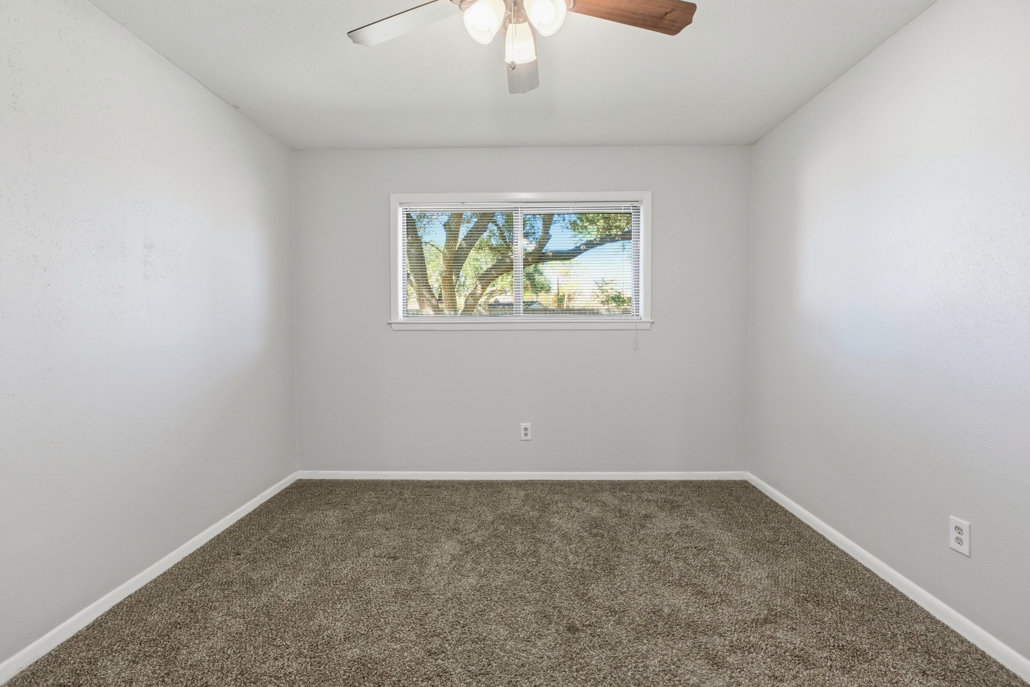 3721 Avenue R Property Photo 32