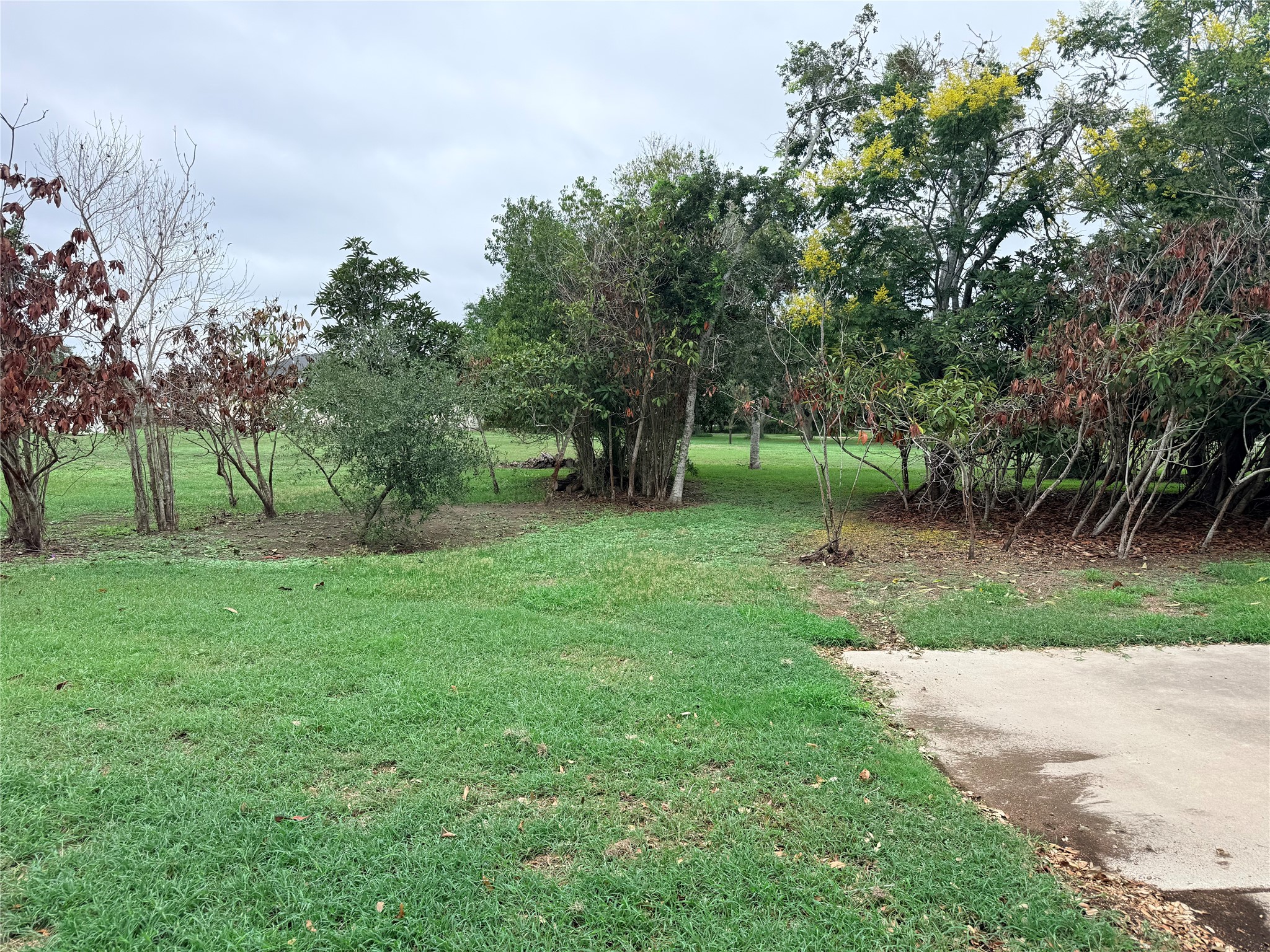 511 O Brien Road Property Photo 8