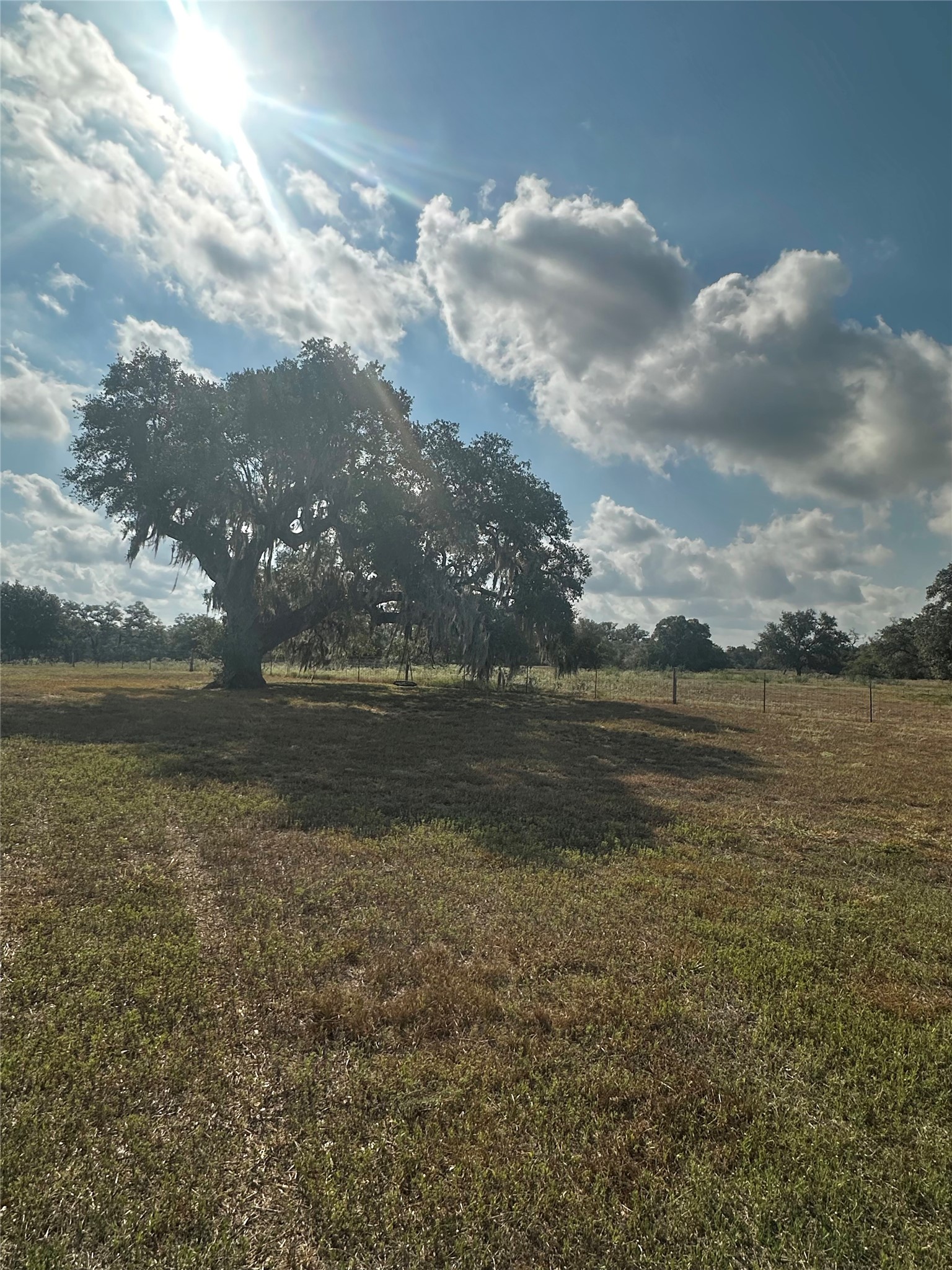 1684 Zengerle Rd Property Photo 31