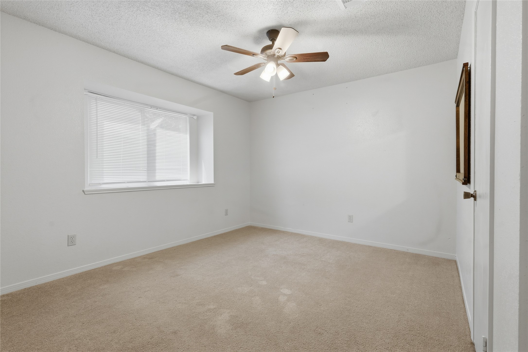 20410 Blue Beech Drive Property Photo 13
