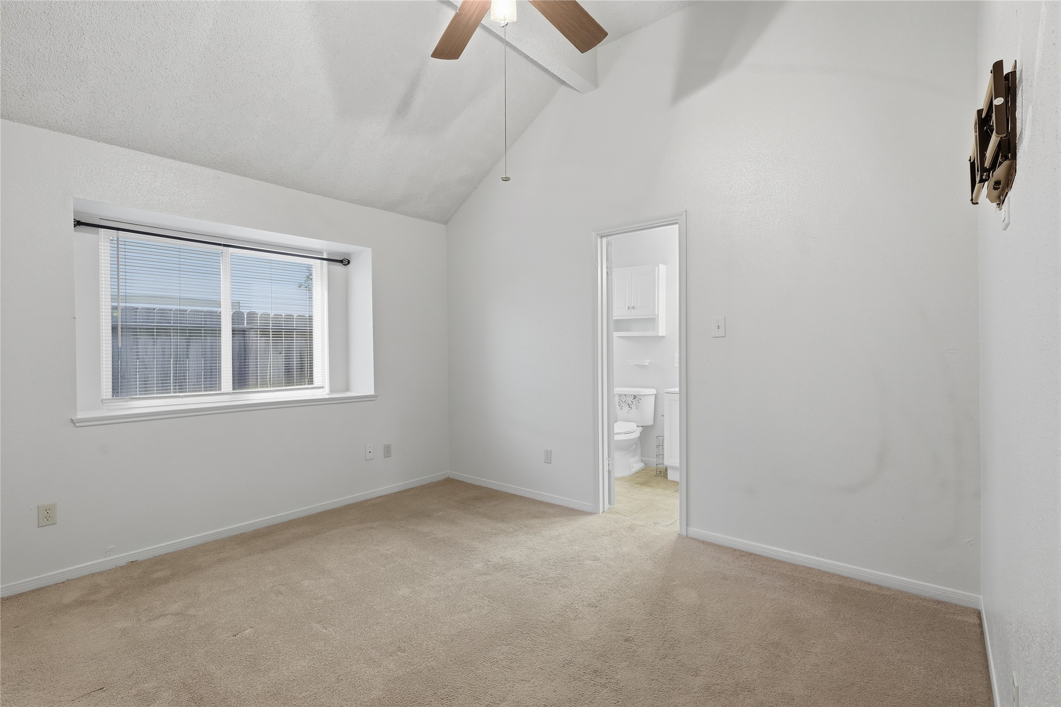 20410 Blue Beech Drive Property Photo 15