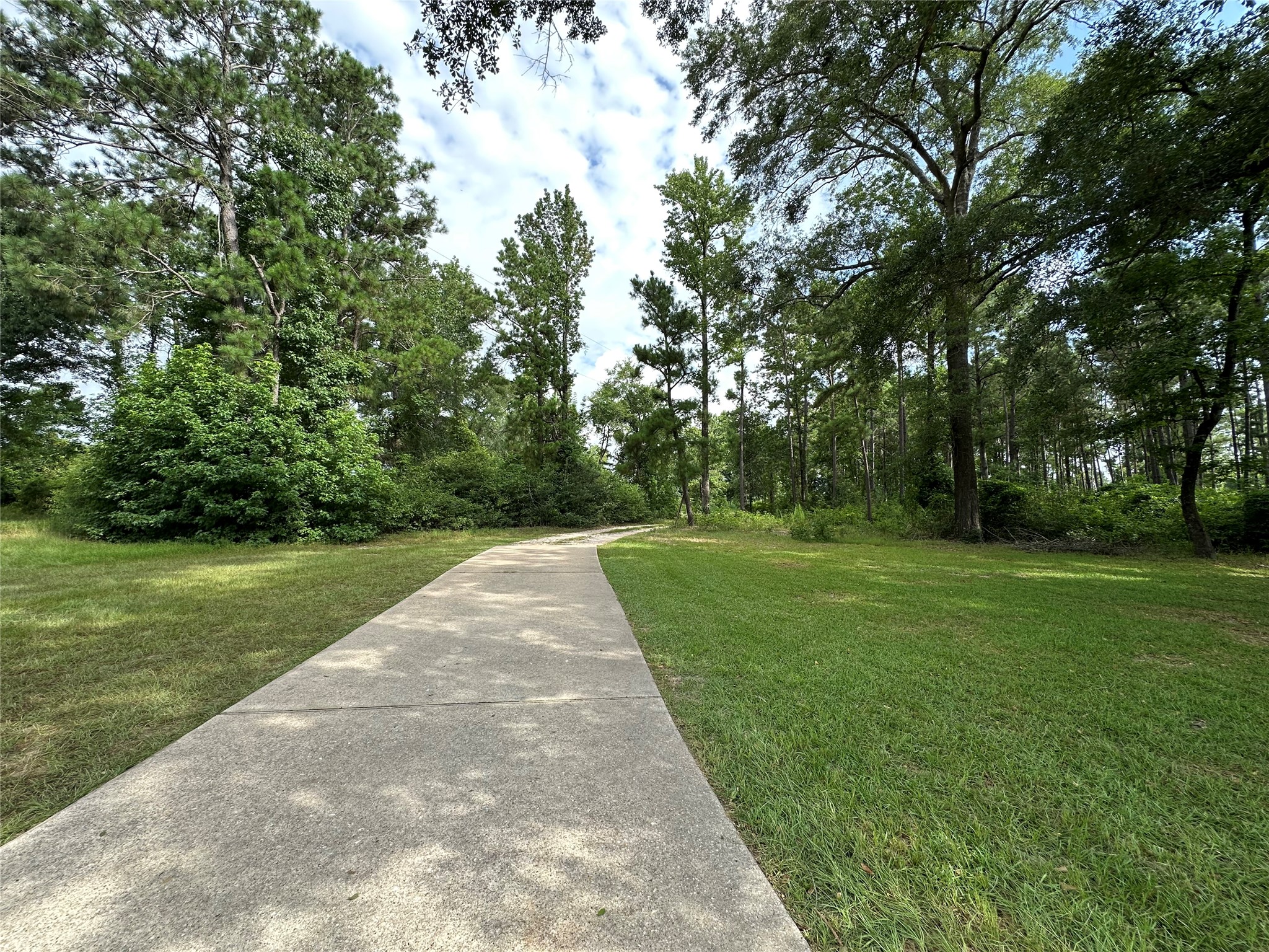 33615 Dobbin Huffsmith Road Property Photo 34
