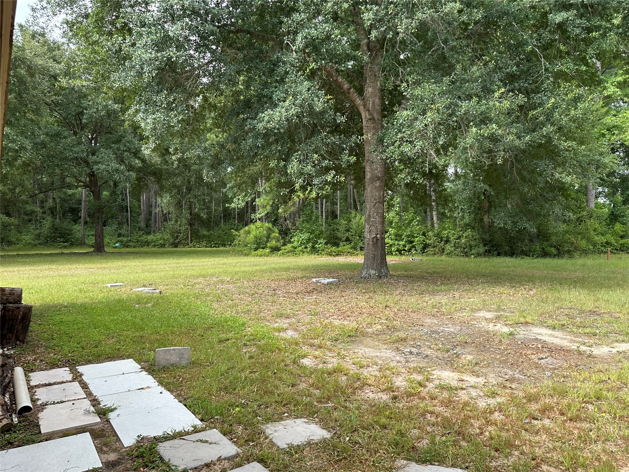 33615 Dobbin Huffsmith Road Property Photo 37