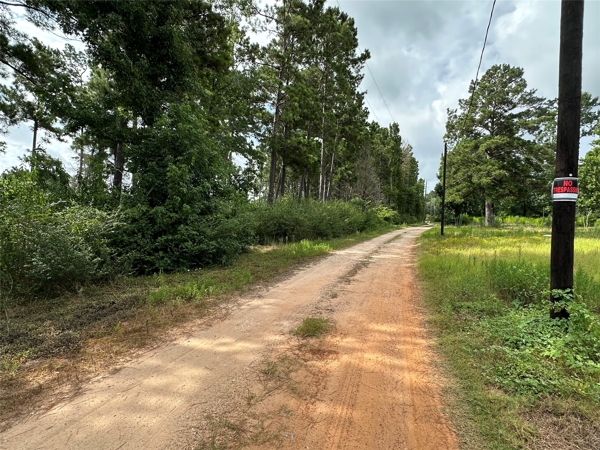 33615 Dobbin Huffsmith Road Property Photo 39