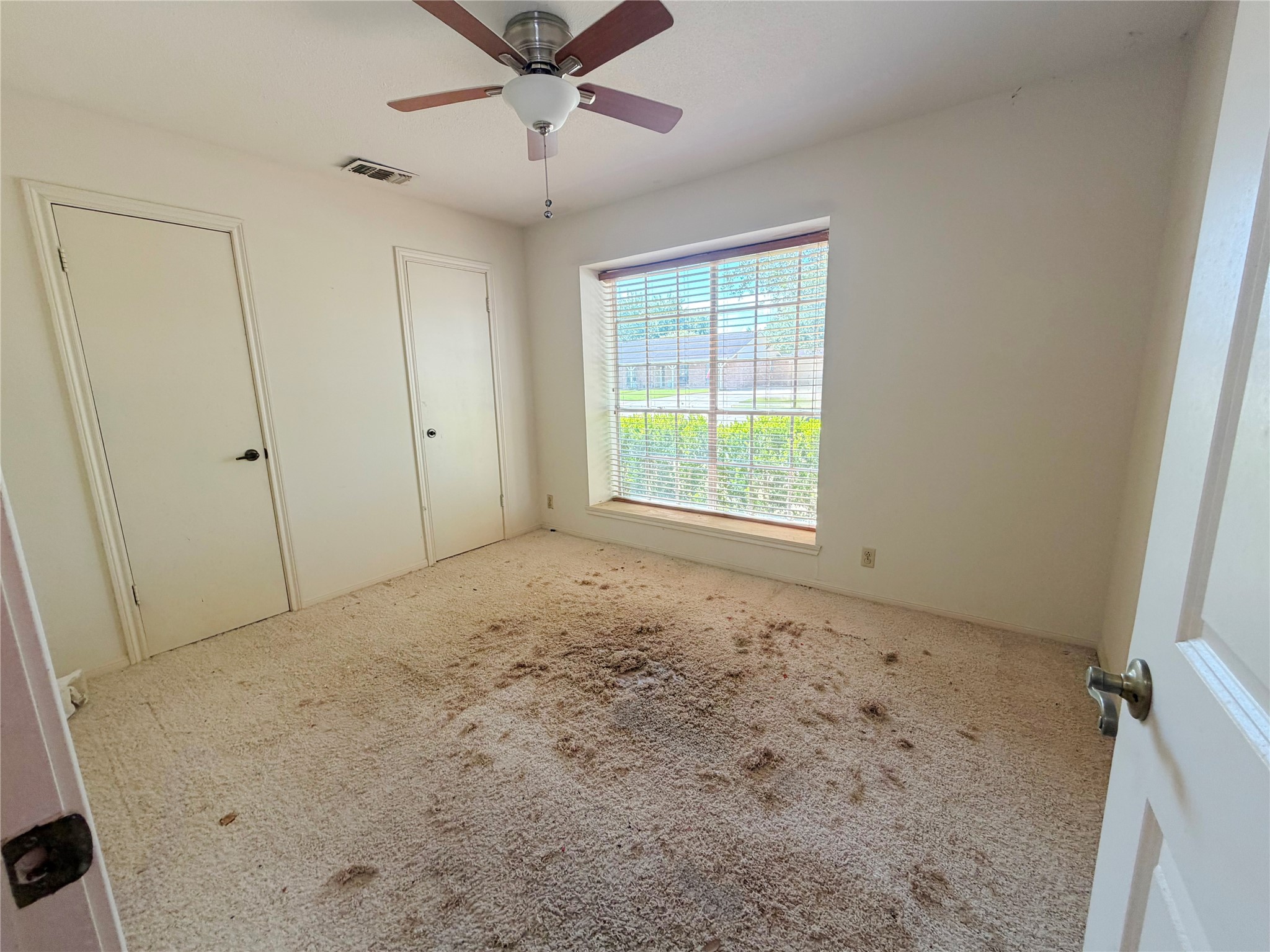 101 Rose Trail Property Photo 8