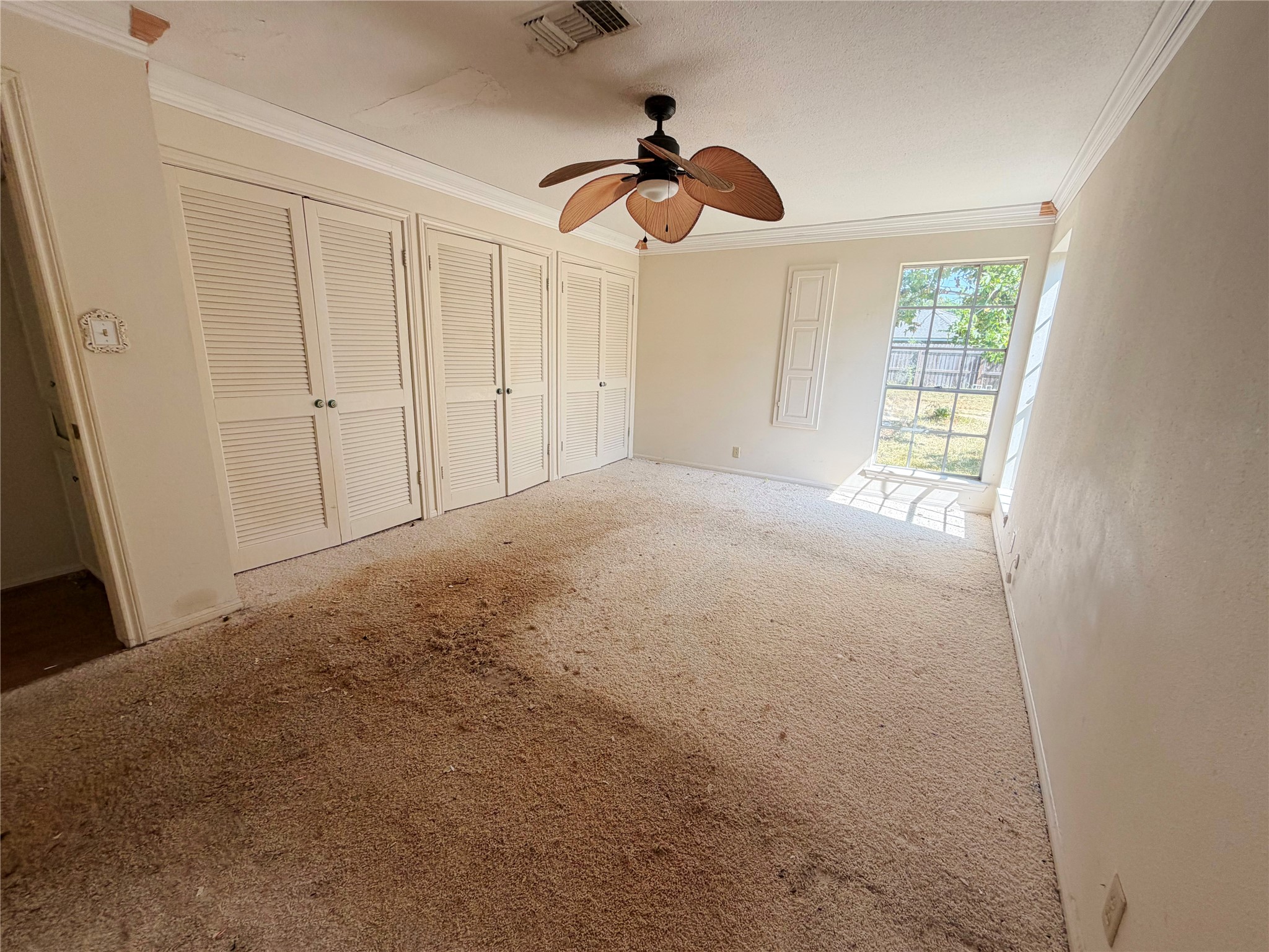 101 Rose Trail Property Photo 9