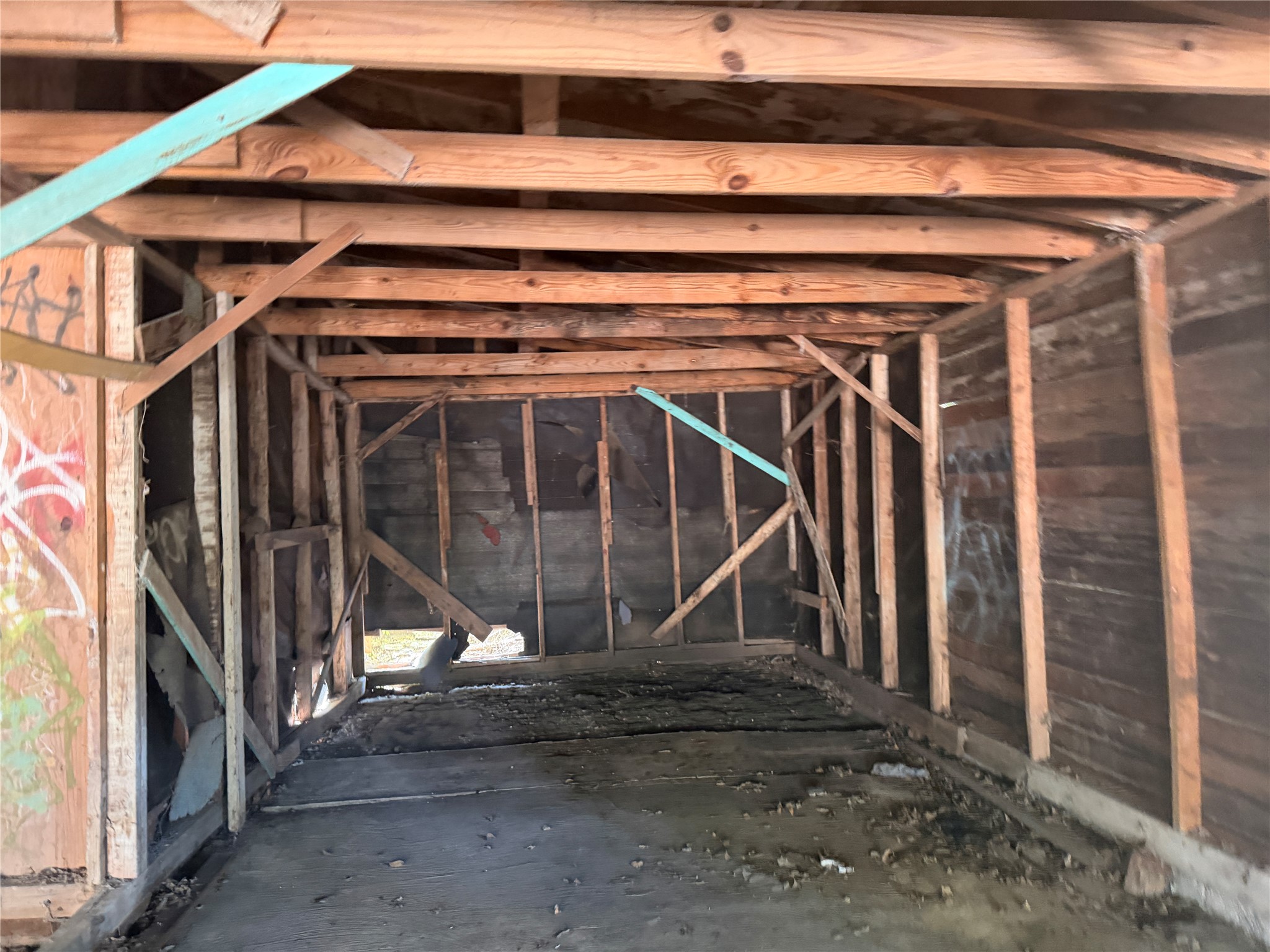234 Doolittle Street Property Photo 8