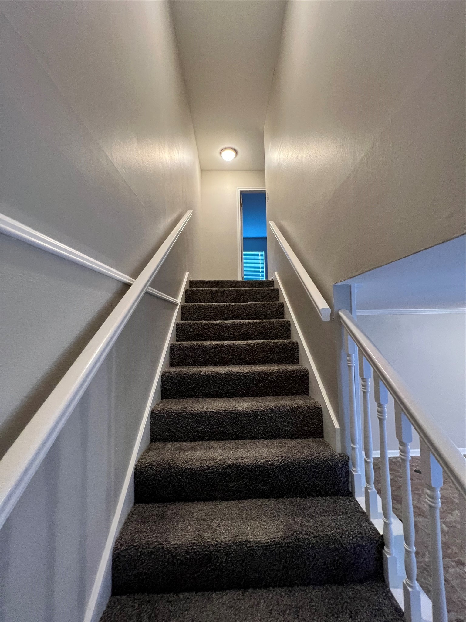 1506 Castlerock Drive Property Photo 28