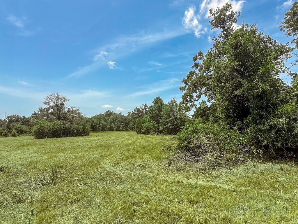 19822 Megan Street Property Photo 1