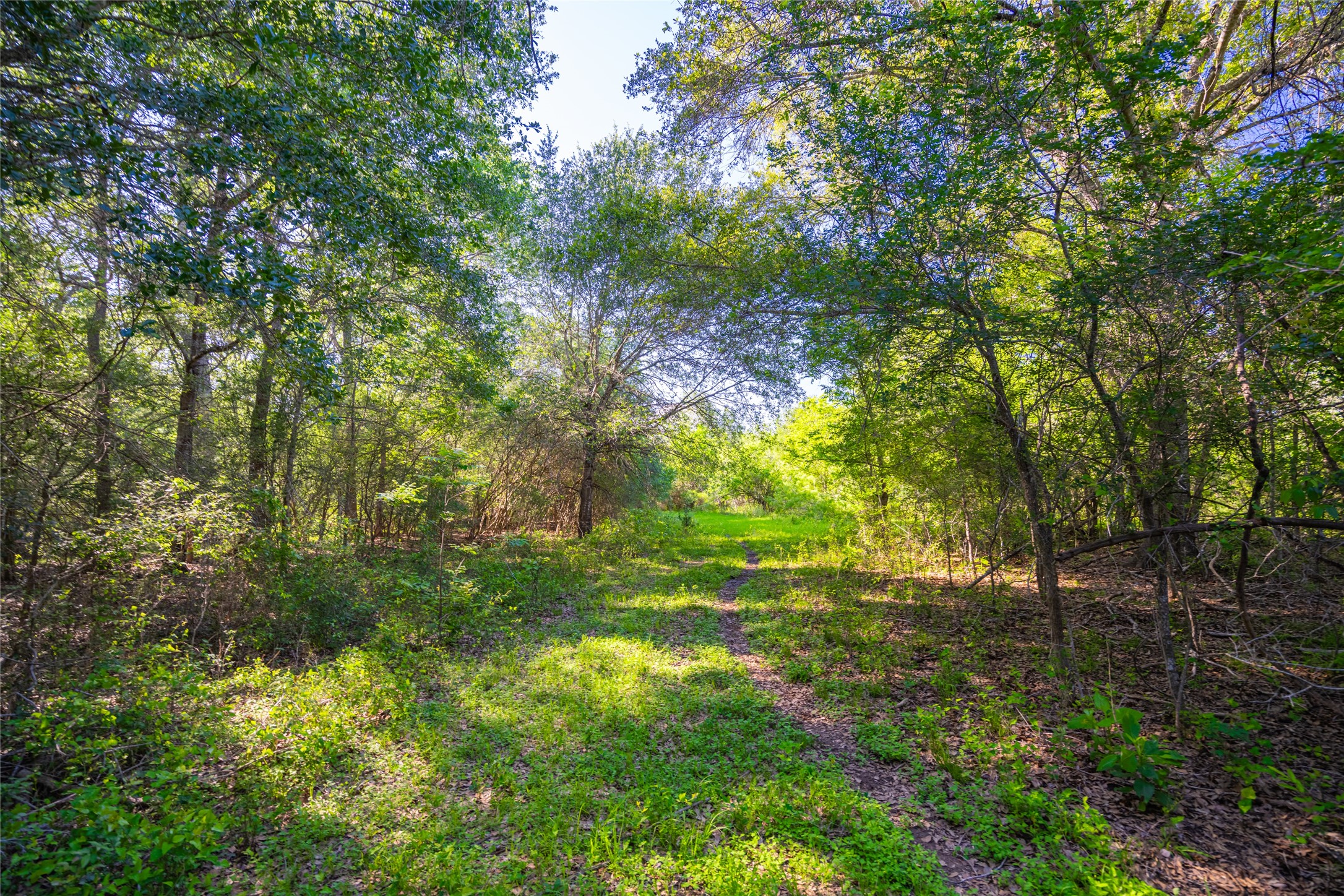 0 Sparta Field Road Property Photo 12