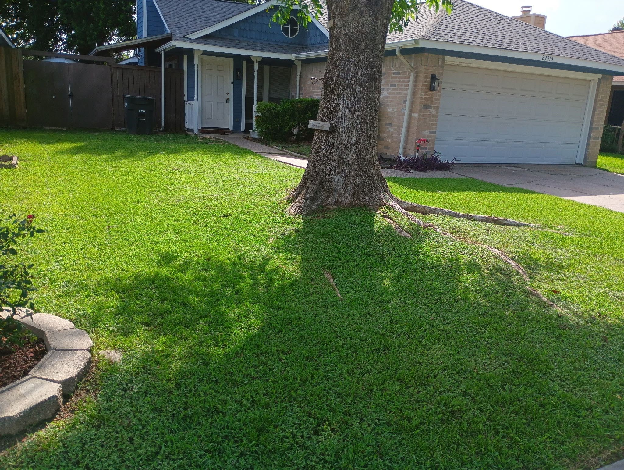 23215 Tree House Lane Property Photo 1