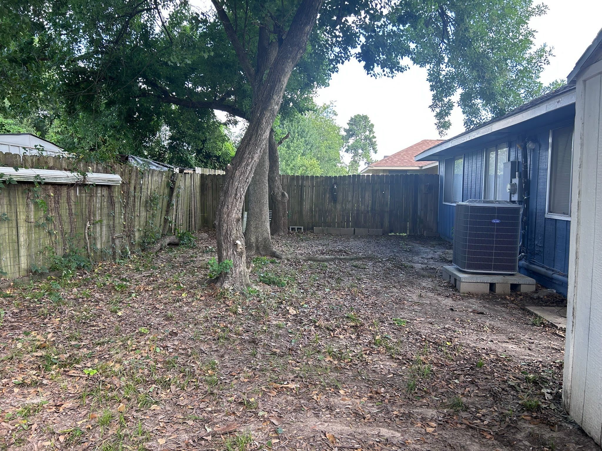 23215 Tree House Lane Property Photo 9