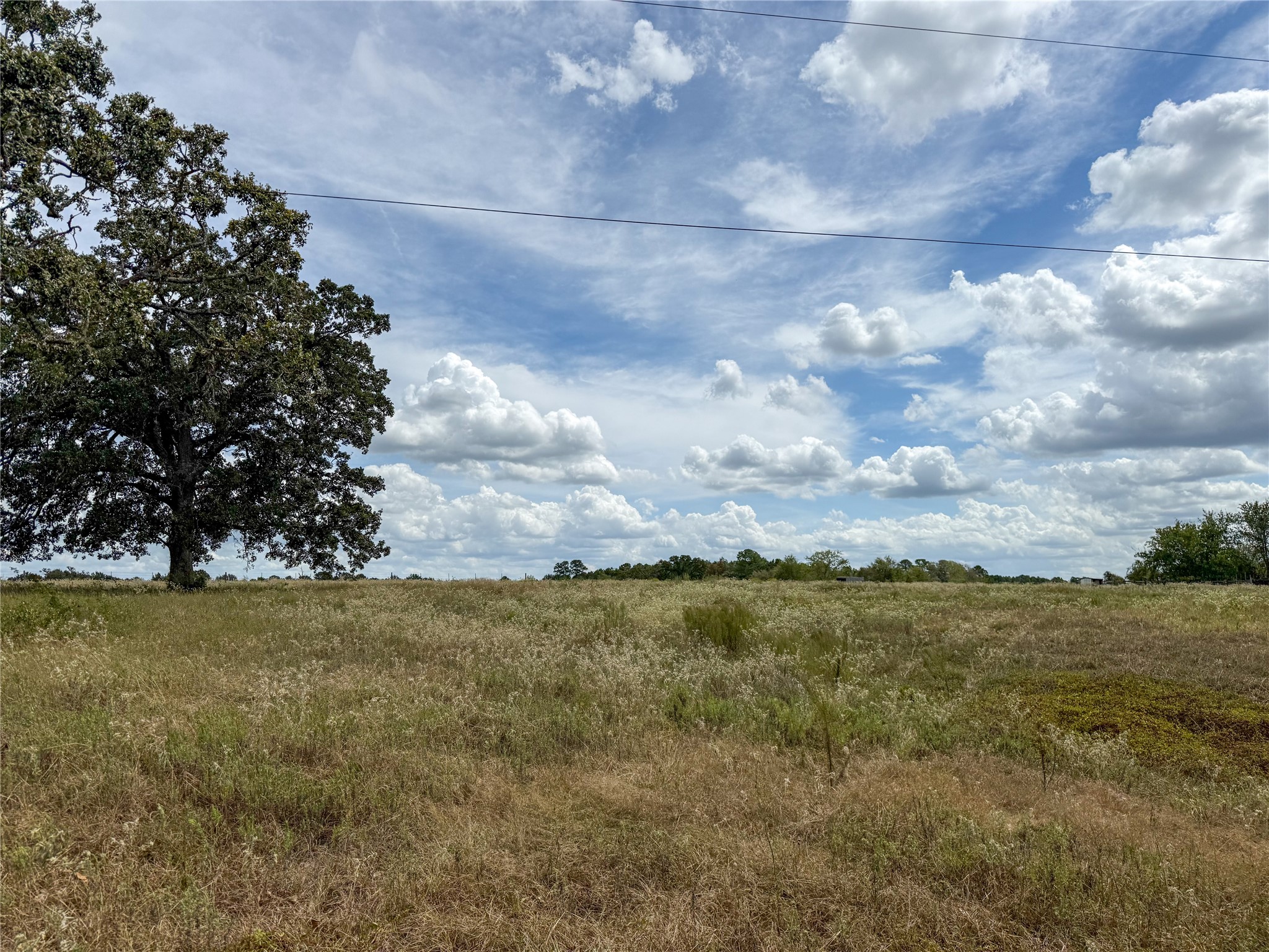 6275 County Road 206 Property Photo 3