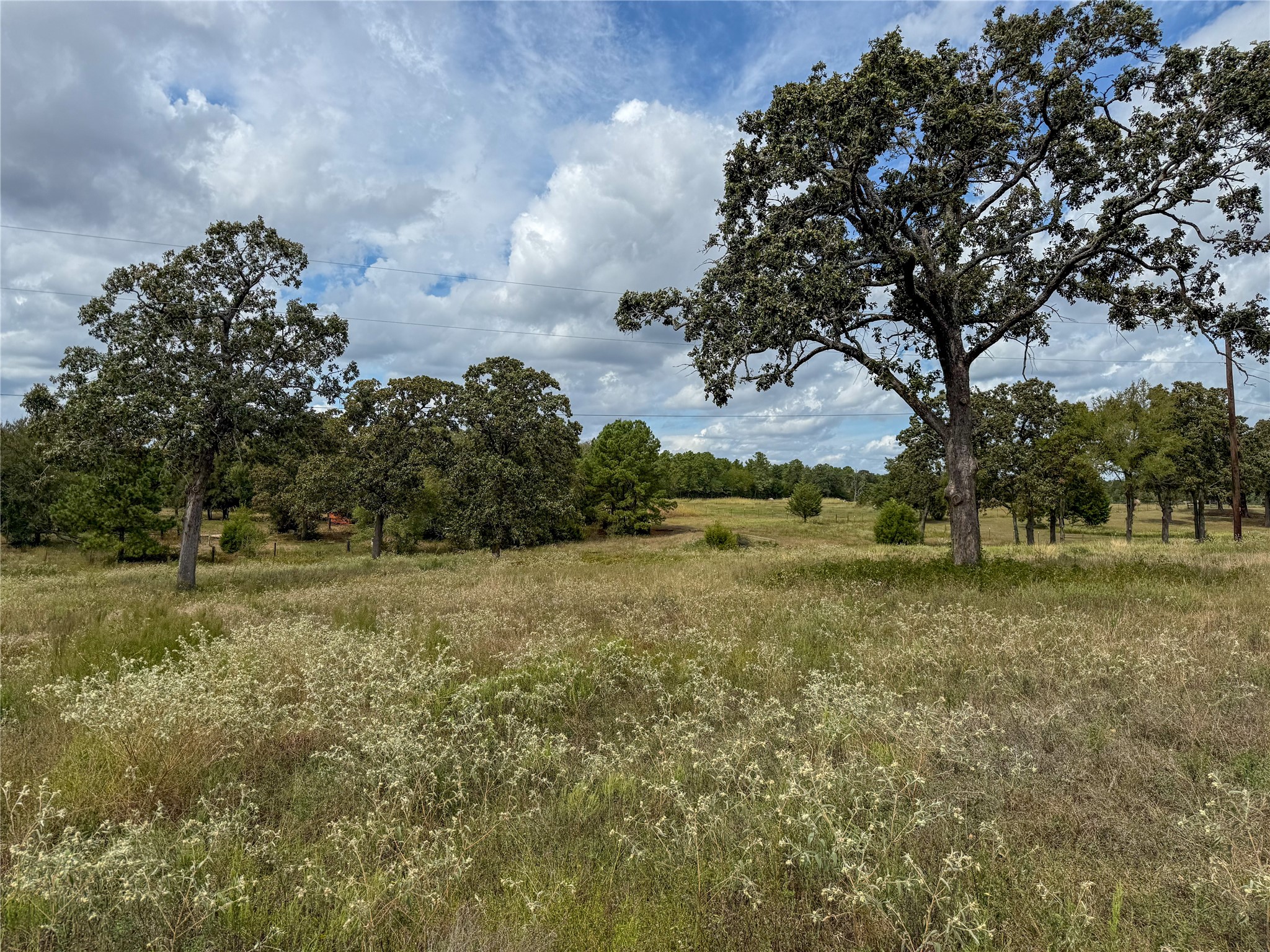 6275 County Road 206 Property Photo 4