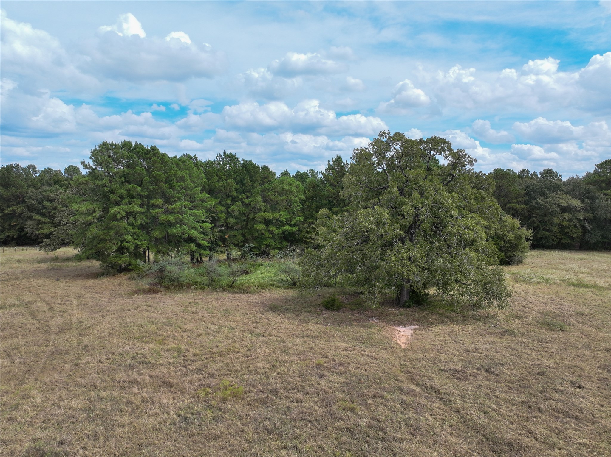 6275 County Road 206 Property Photo 7