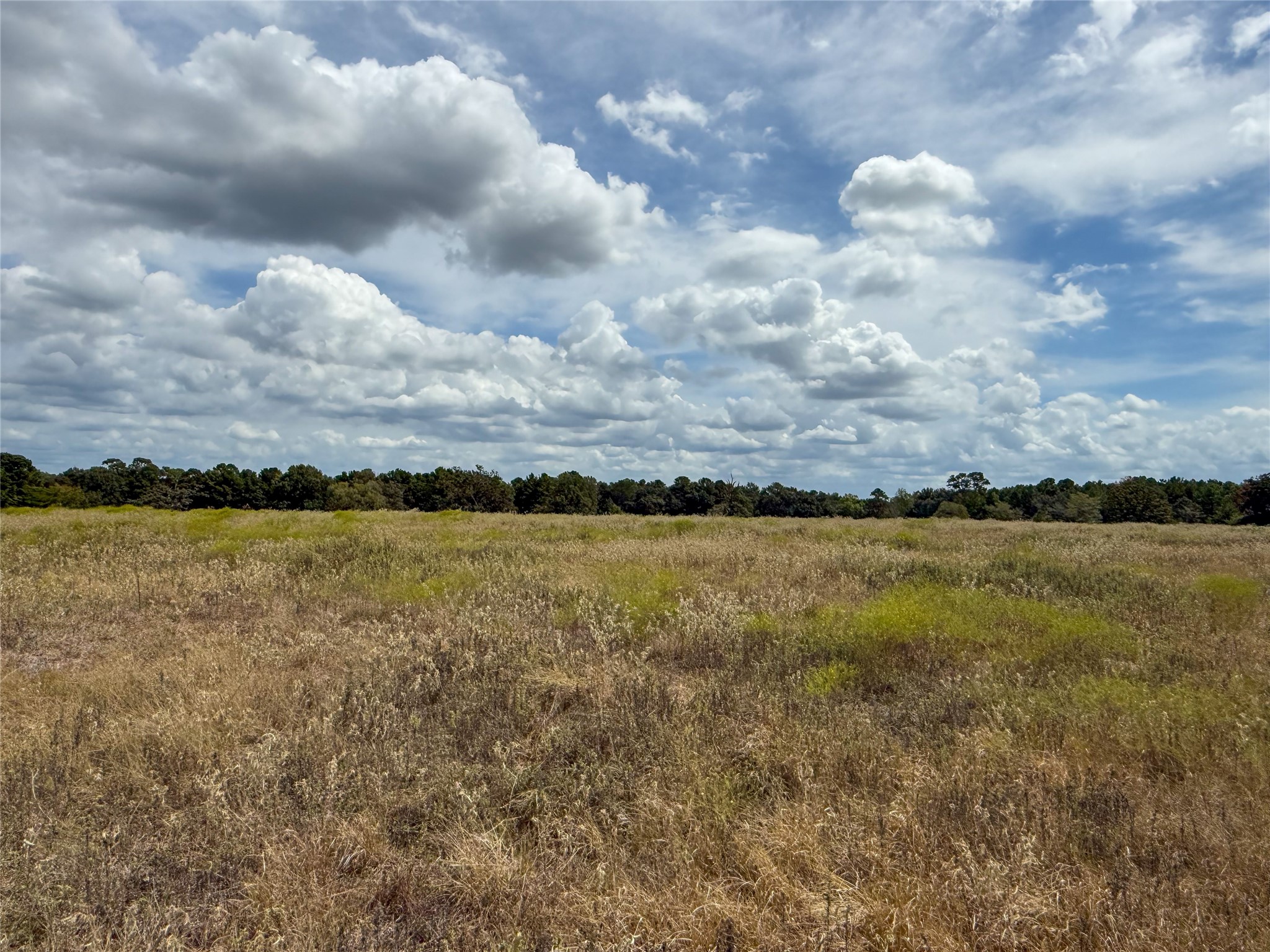 6275 County Road 206 Property Photo 9