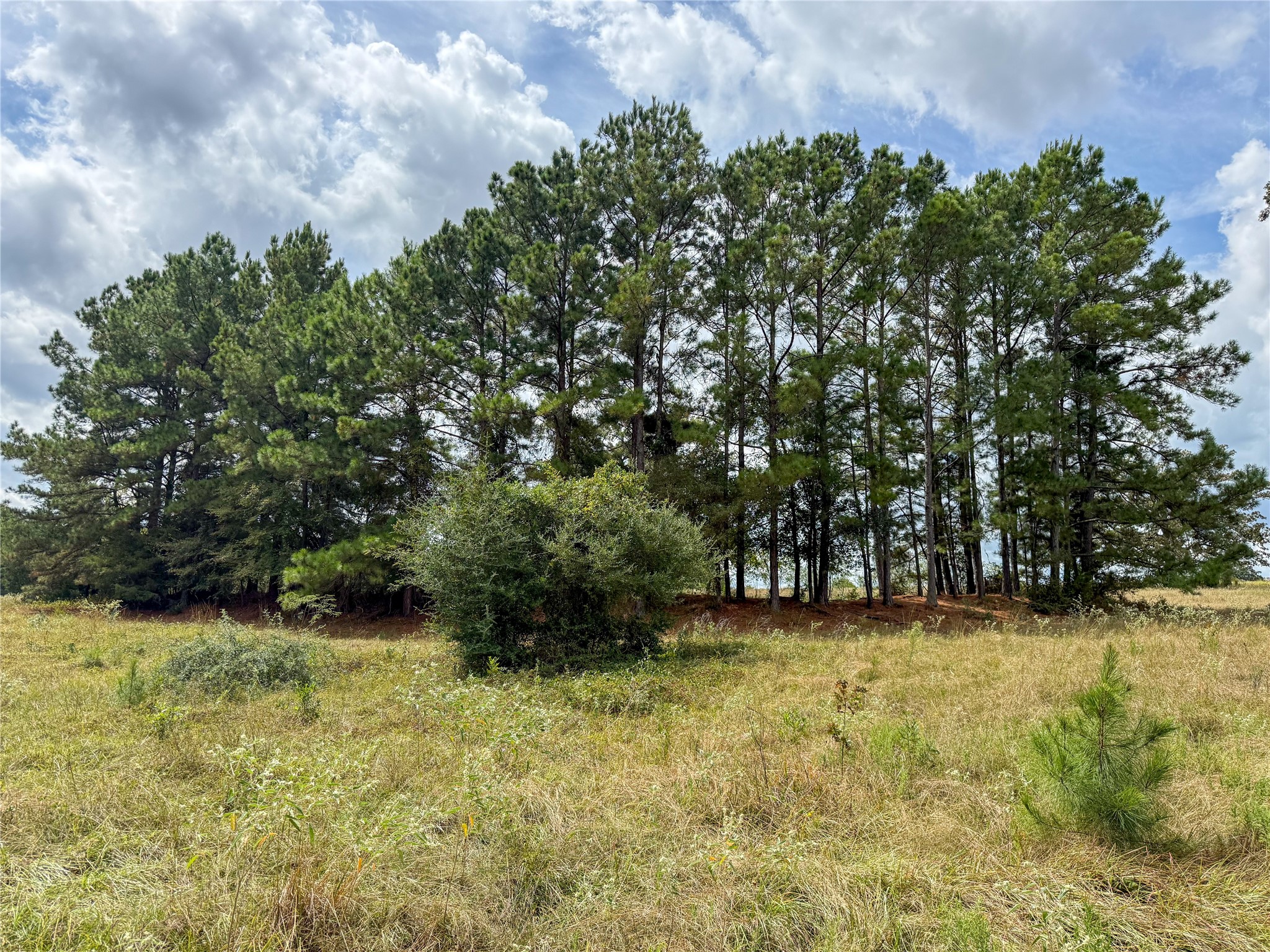 6275 County Road 206 Property Photo 12