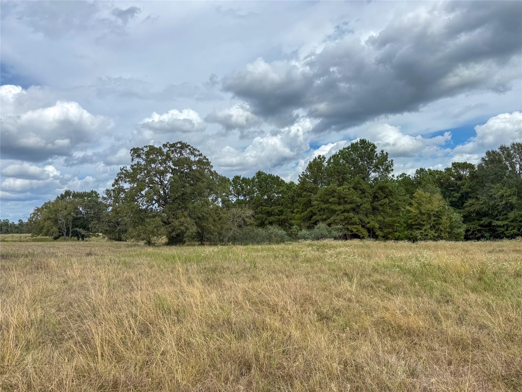 6275 County Road 206 Property Photo 13