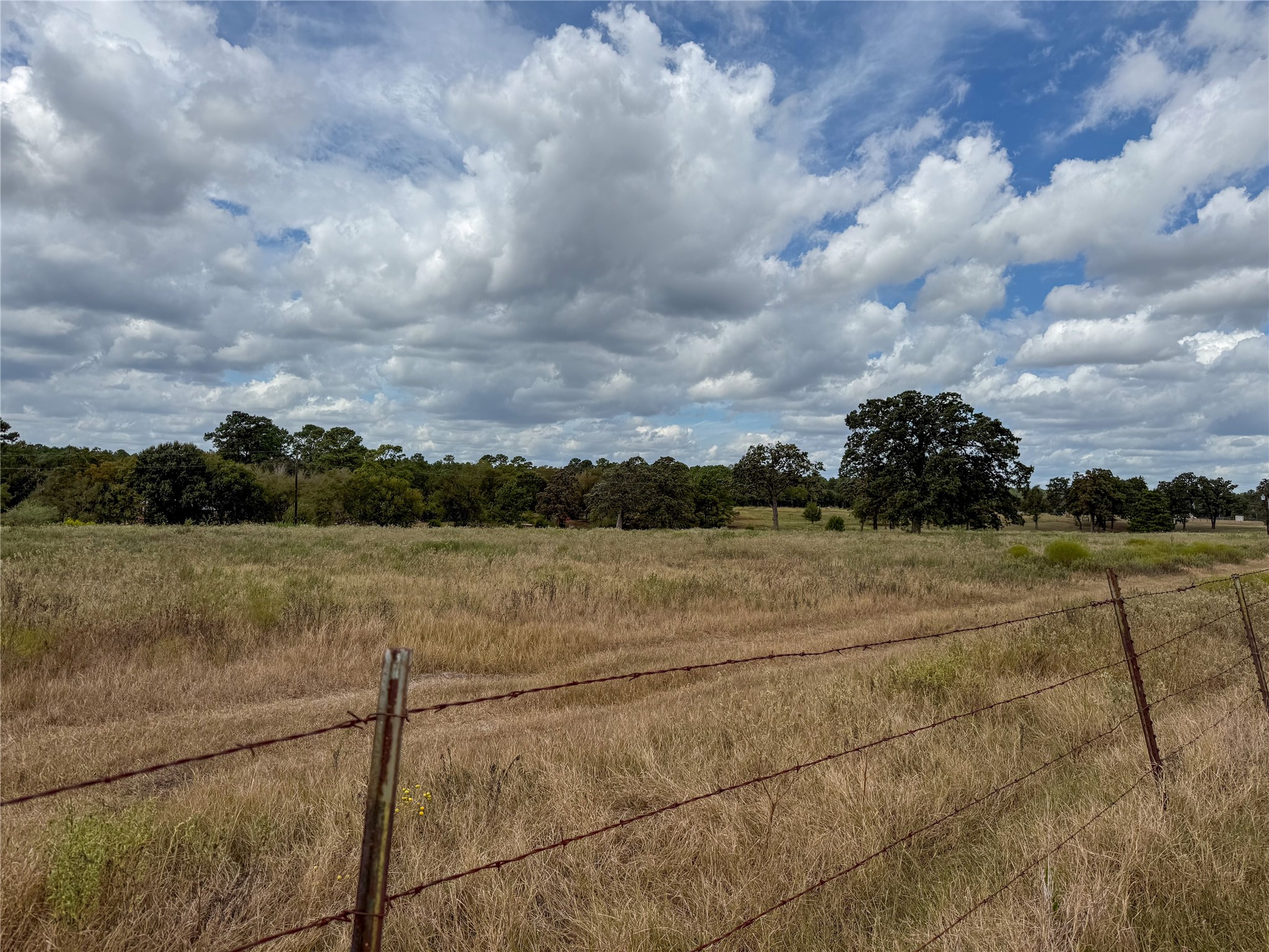 6275 County Road 206 Property Photo 15