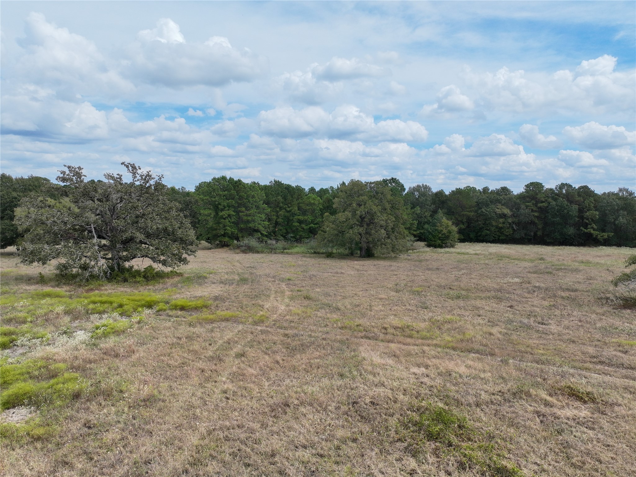6275 County Road 206 Property Photo 20