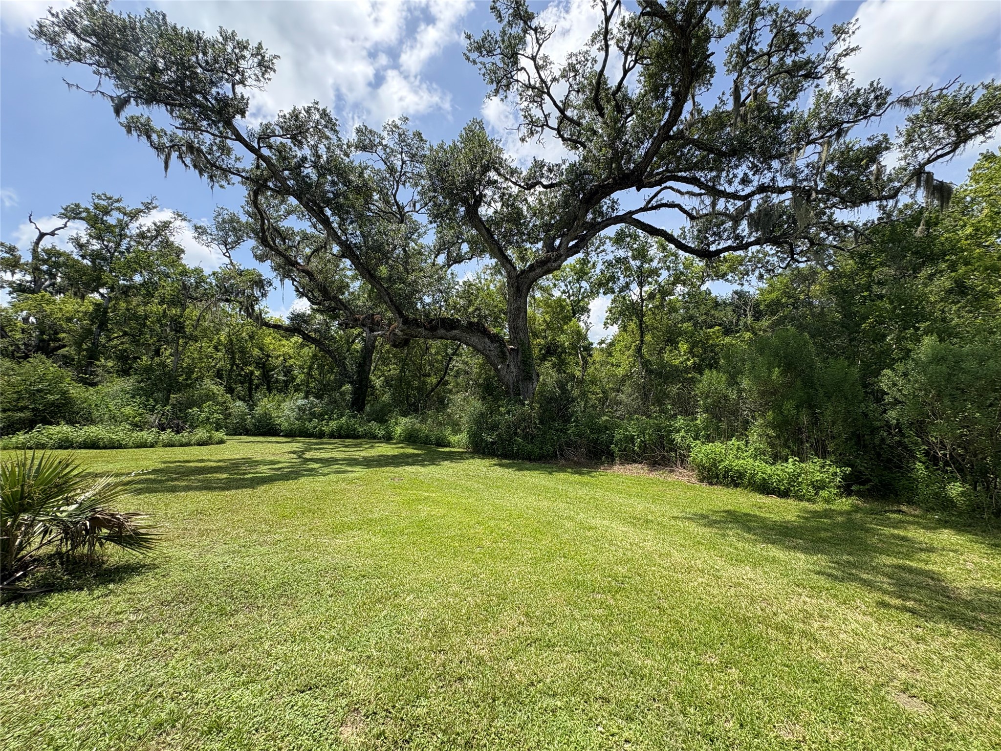 6496 Fm 2611 Road Property Photo 11