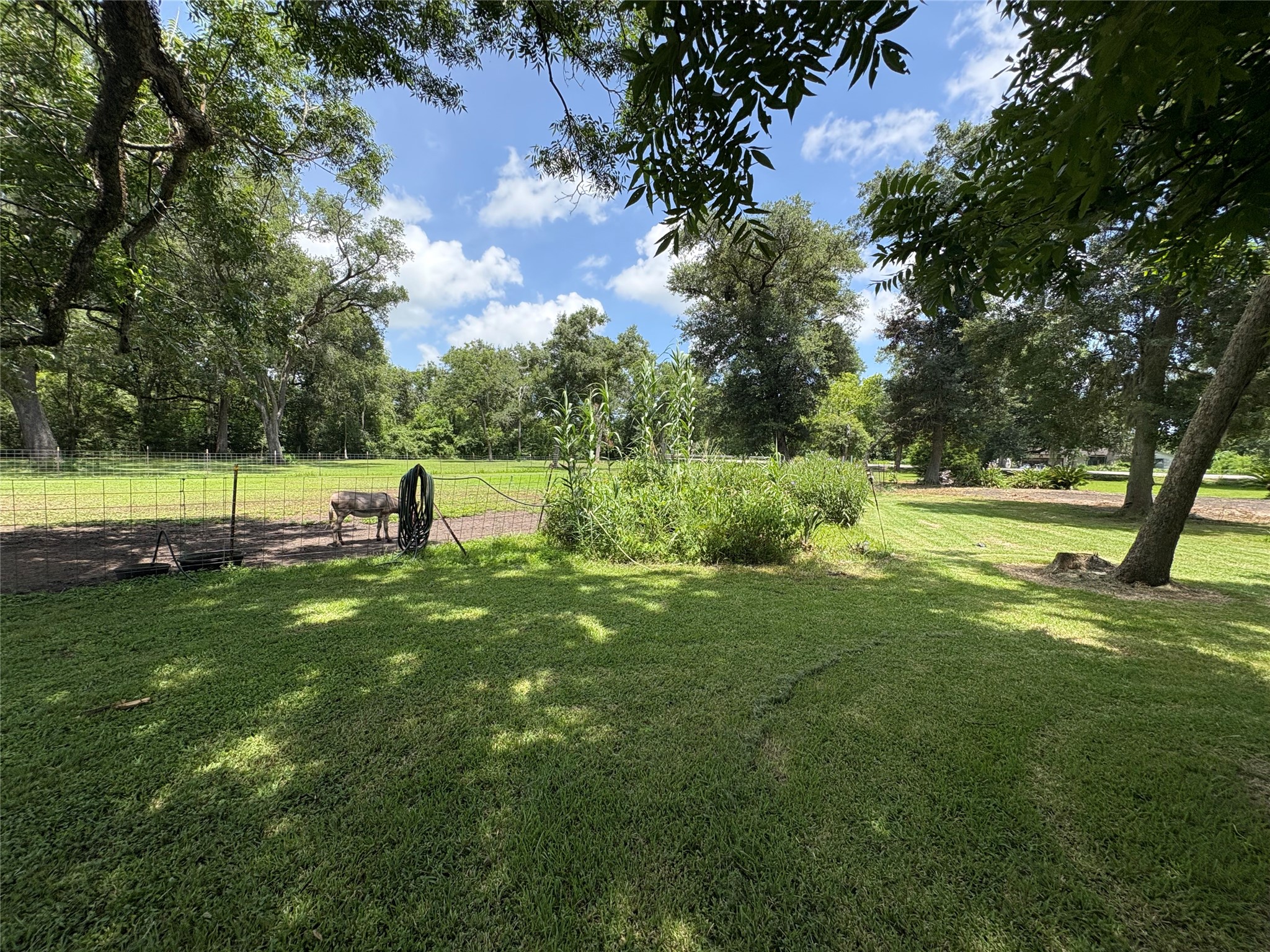6496 Fm 2611 Road Property Photo 30
