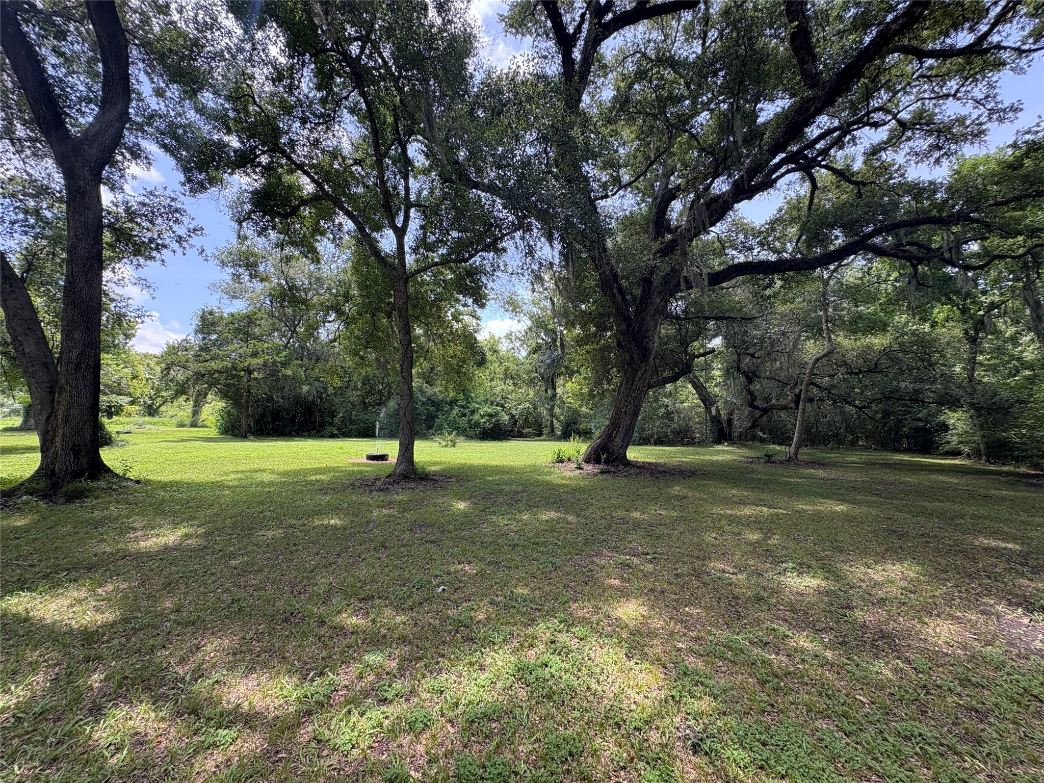 6496 Fm 2611 Road Property Photo 34