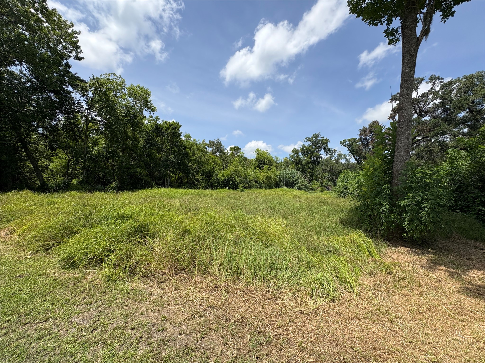 6496 Fm 2611 Road Property Photo 35