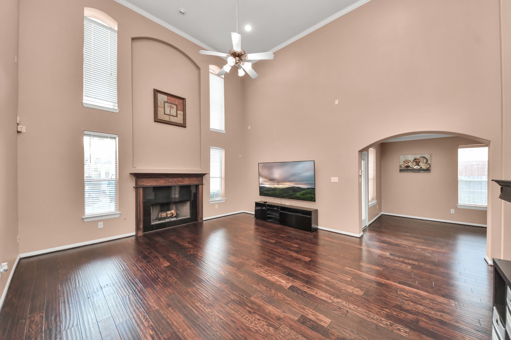 8206 Purple Cornflower Trail Property Photo 5