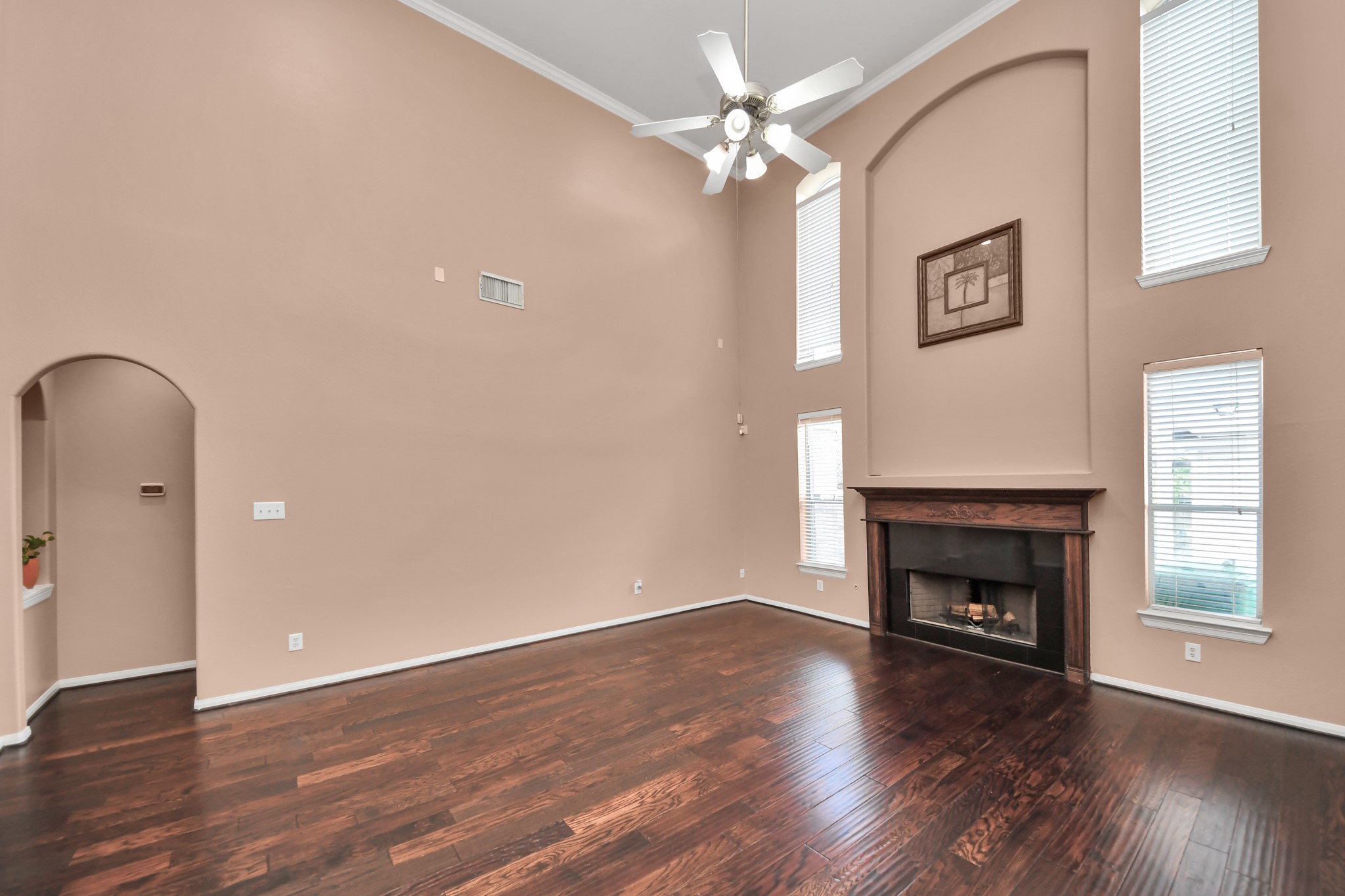 8206 Purple Cornflower Trail Property Photo 28