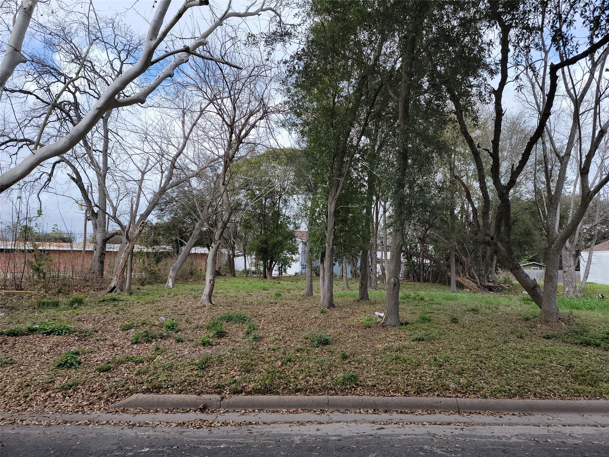410 8th Avenue North Property Photo 3