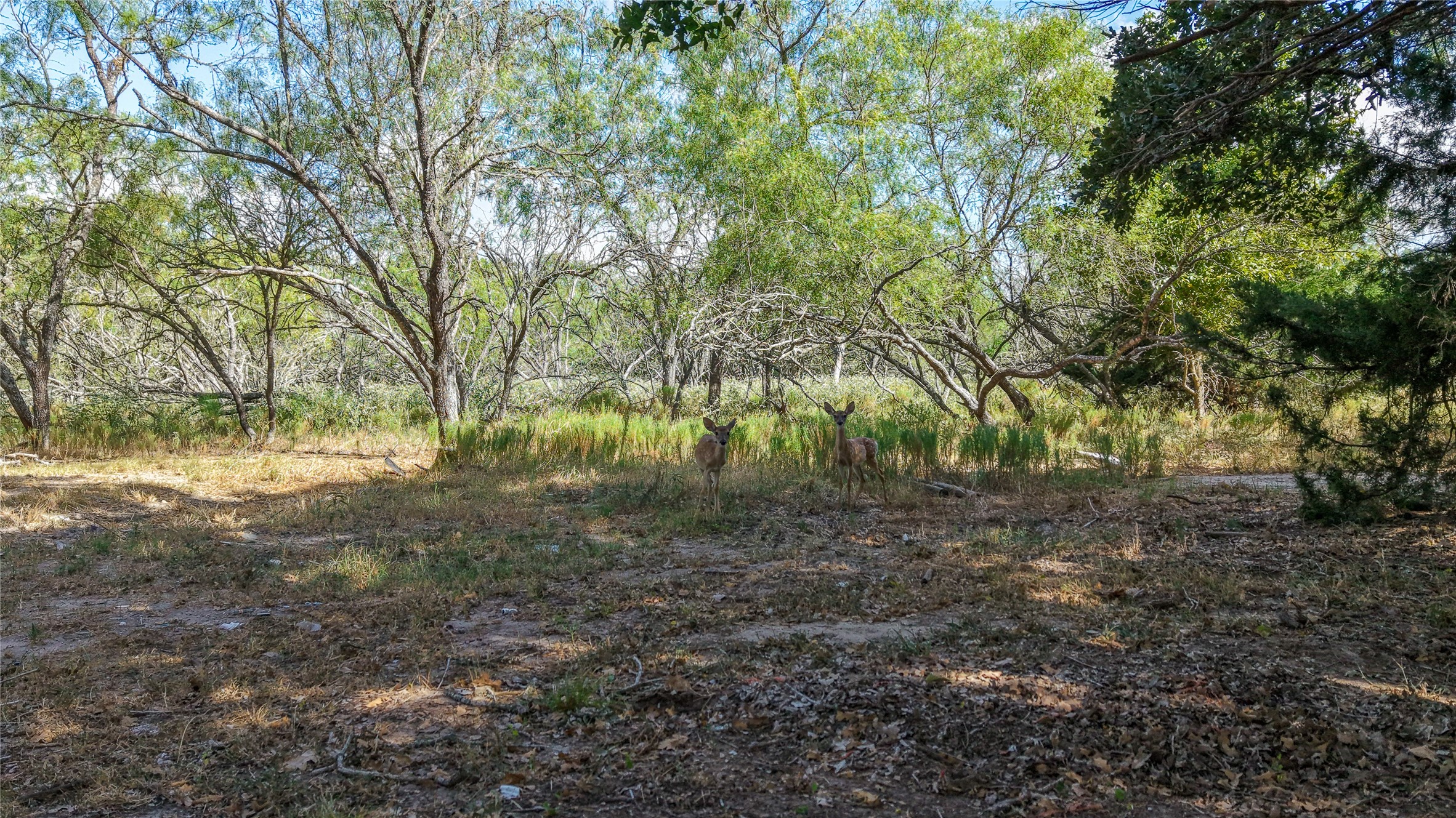 Tract 1 Tbd Mensik Rd Property Photo 7