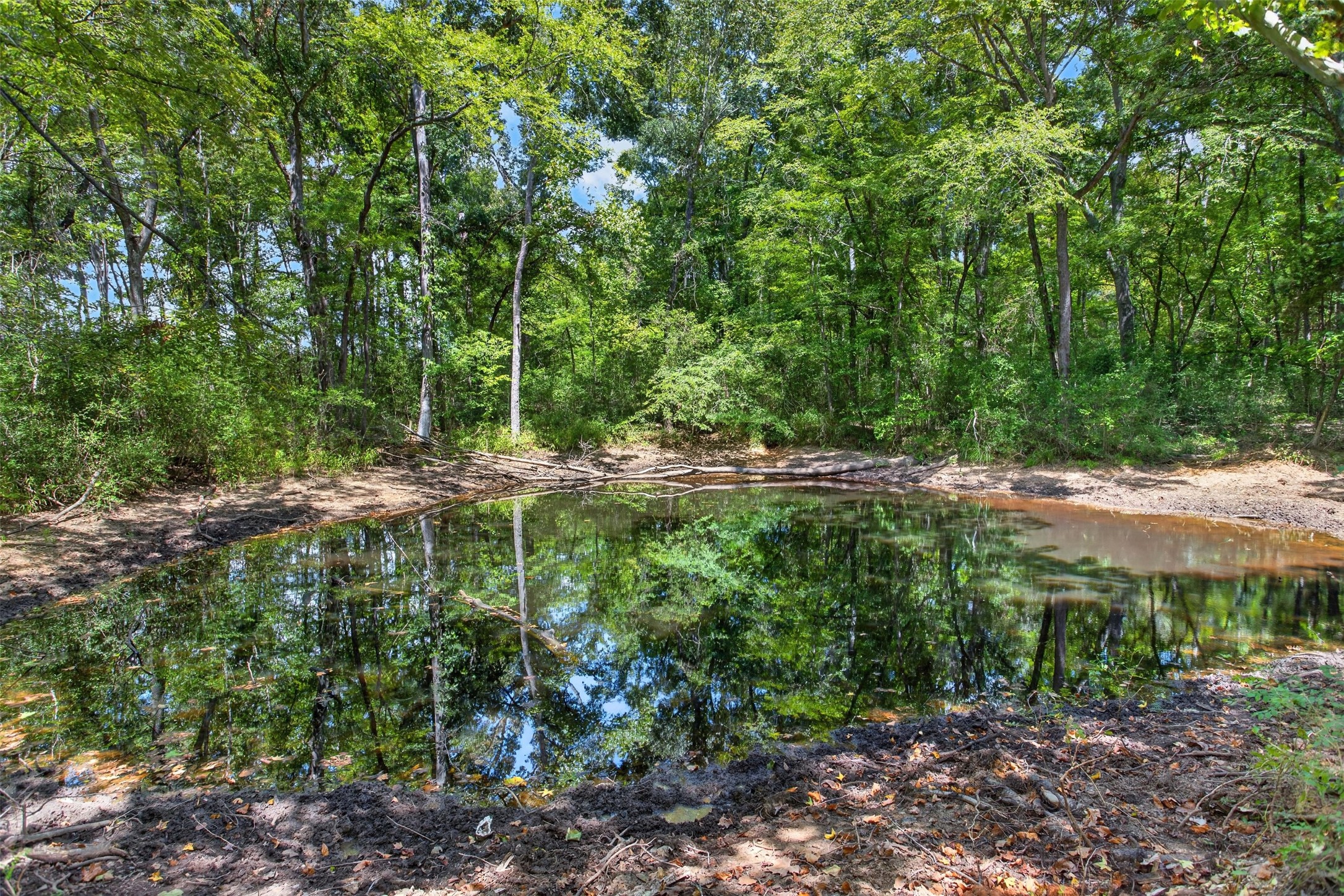 9933 Fm 227 W Property Photo 4