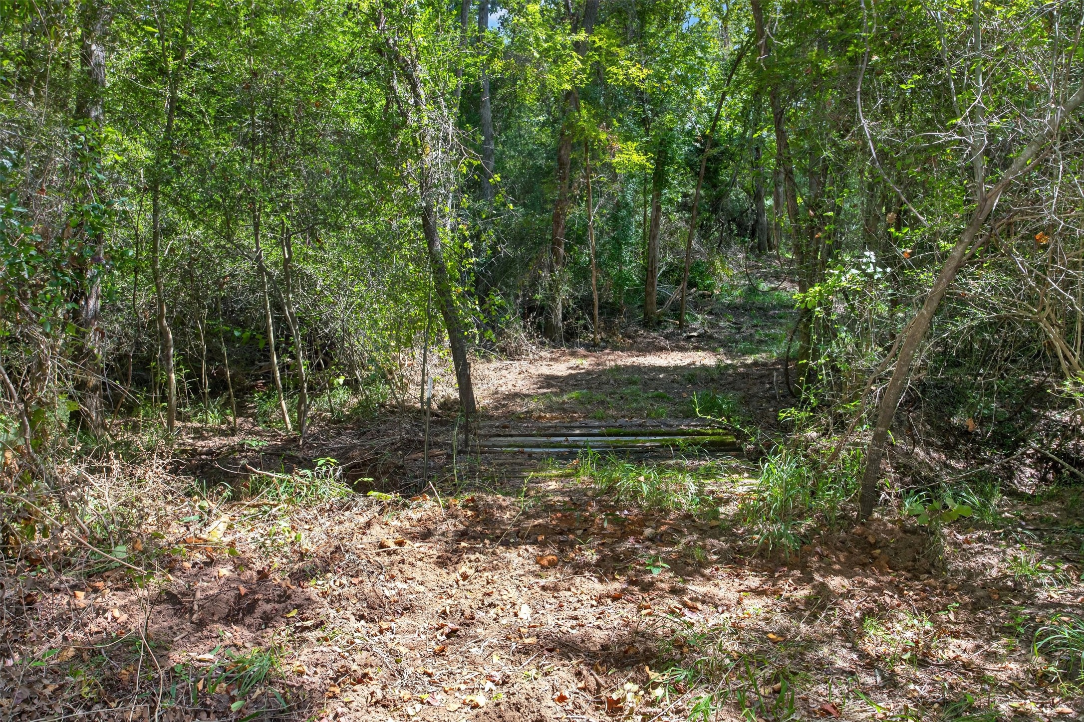 9933 Fm 227 W Property Photo 41