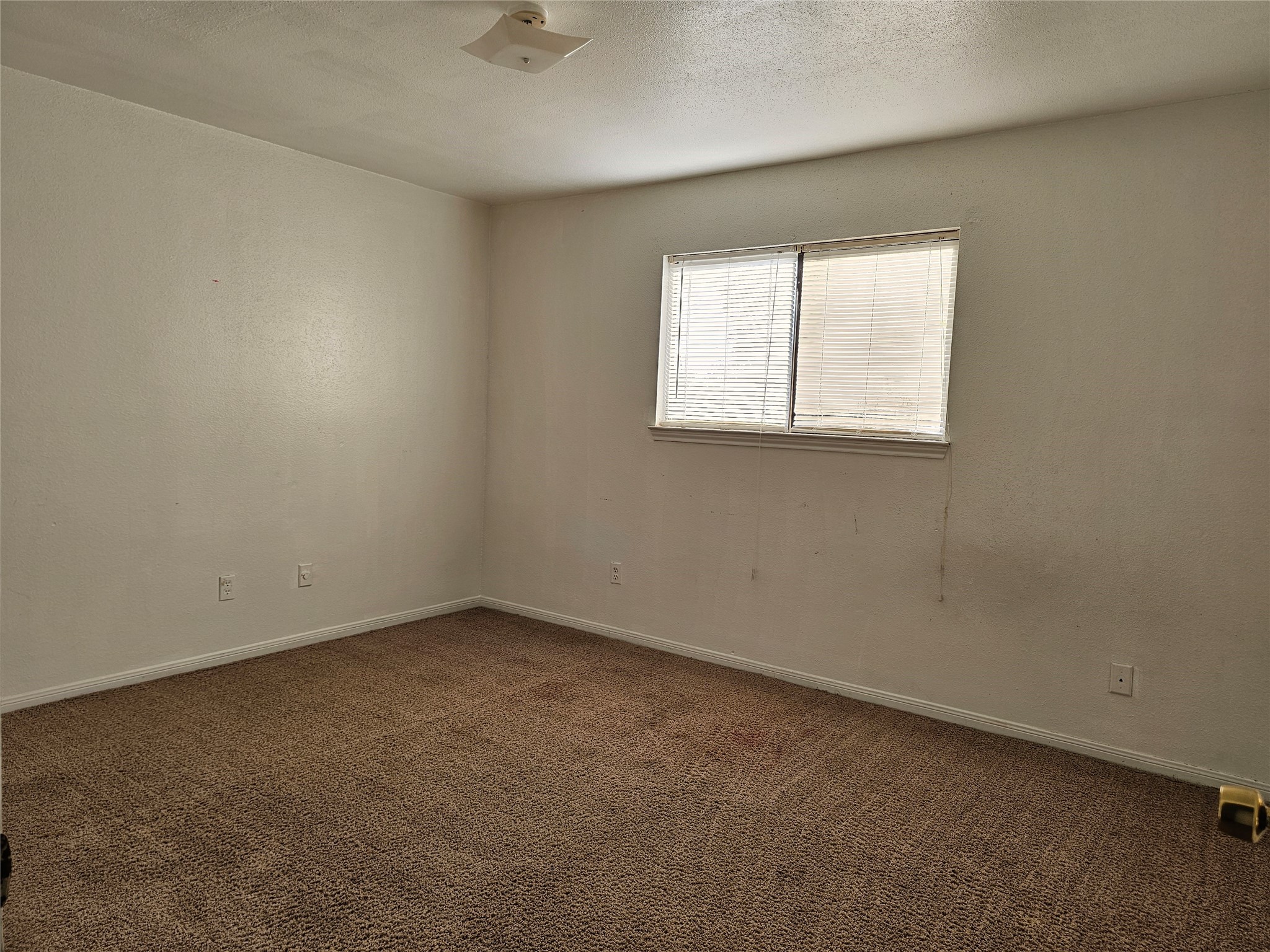 3213 Hirschfield Road C Property Photo 9