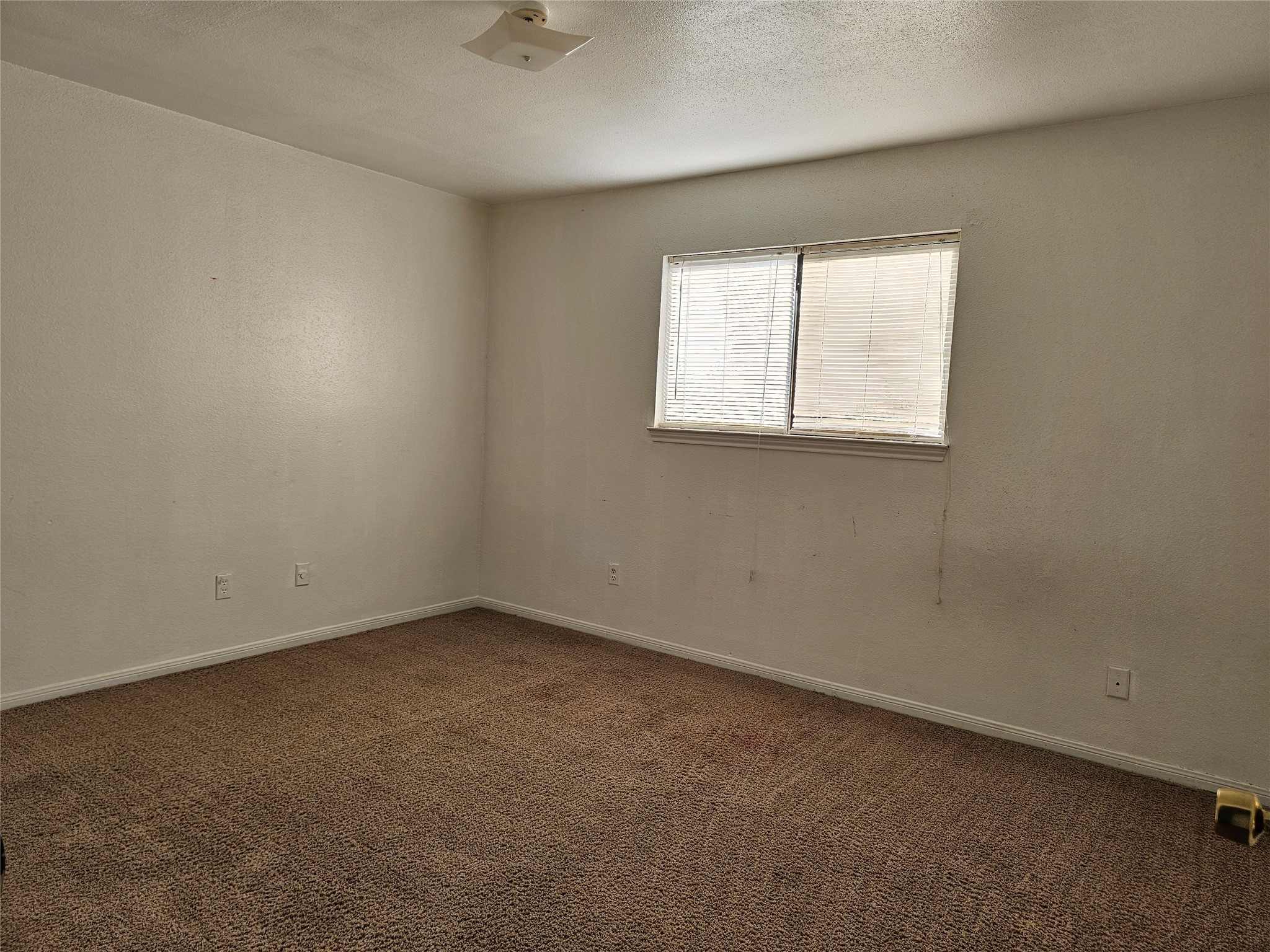 3213 Hirschfield Road C Property Photo 10