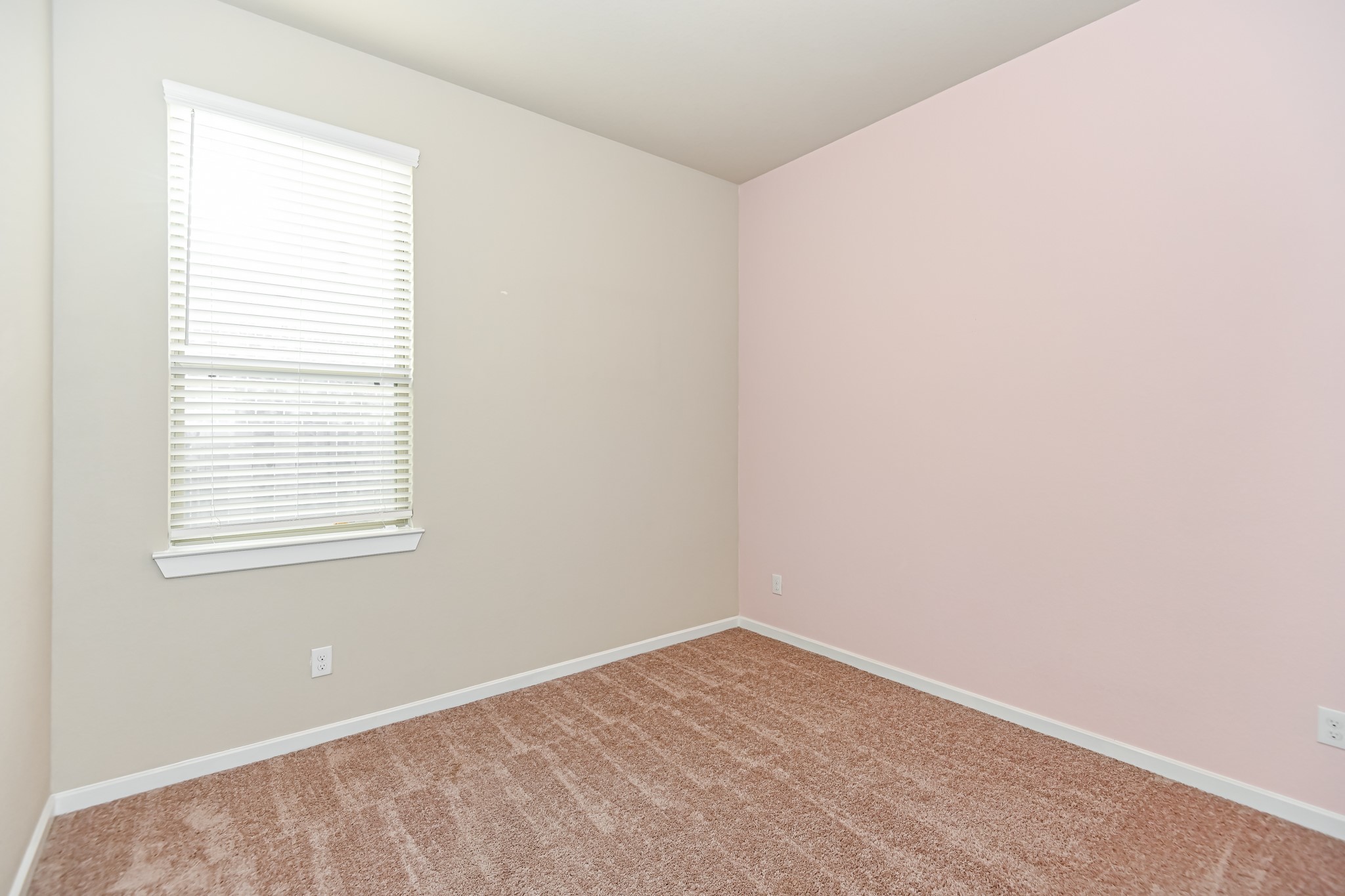 23210 Penstemon Trail Property Photo 21