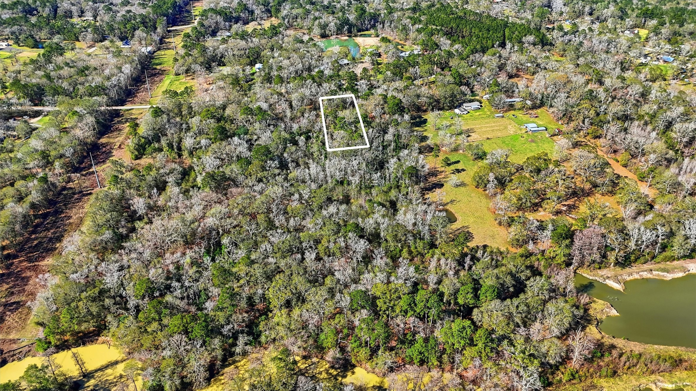 29610 E Irvin Road Property Photo 5