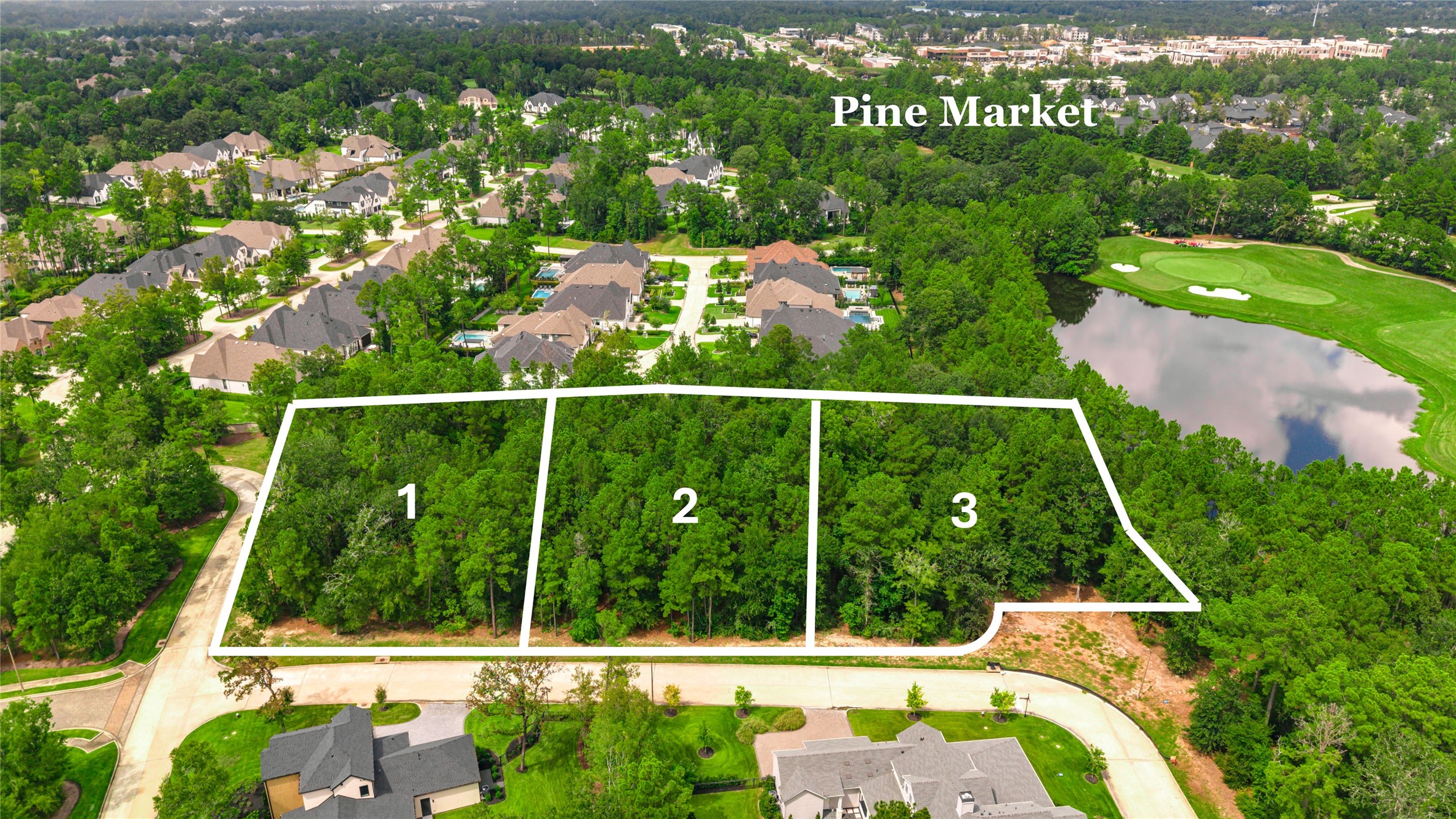 108 Castle Pines Drive Property Photo 3