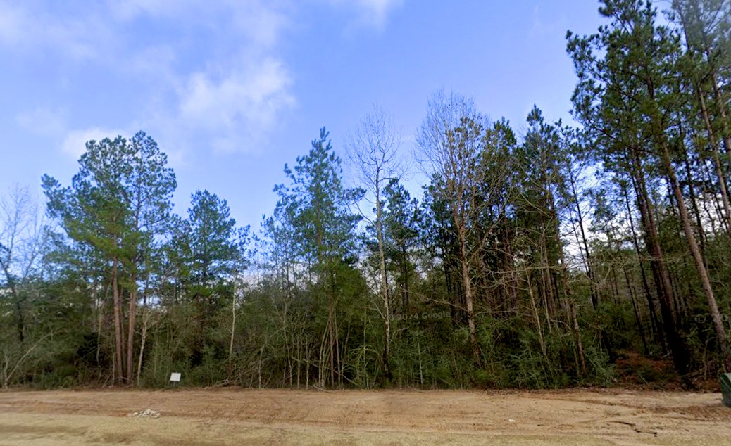 11794 Grand North Road Property Photo 6