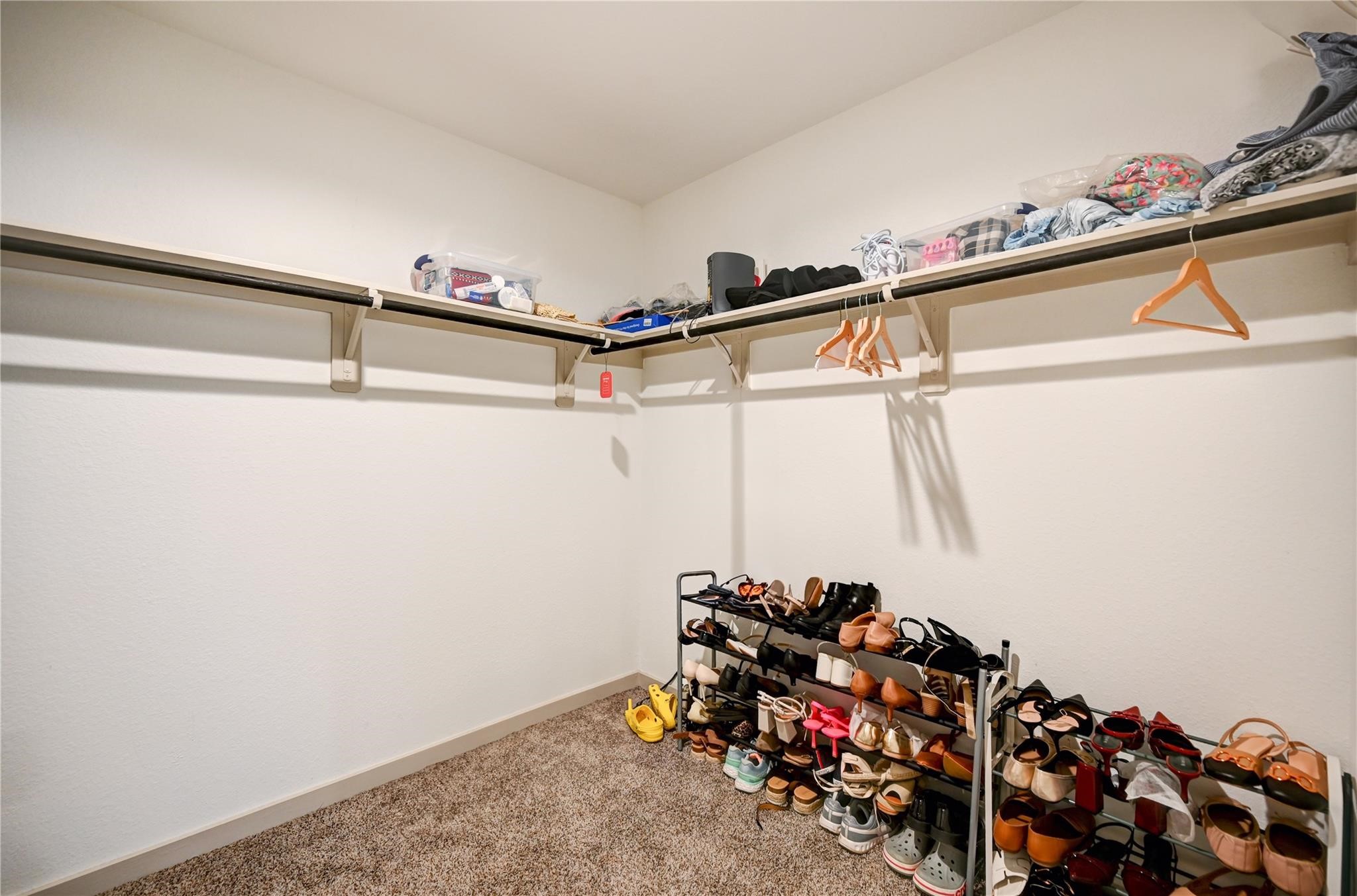 29919 Reagans Ranch Drive Property Photo 29