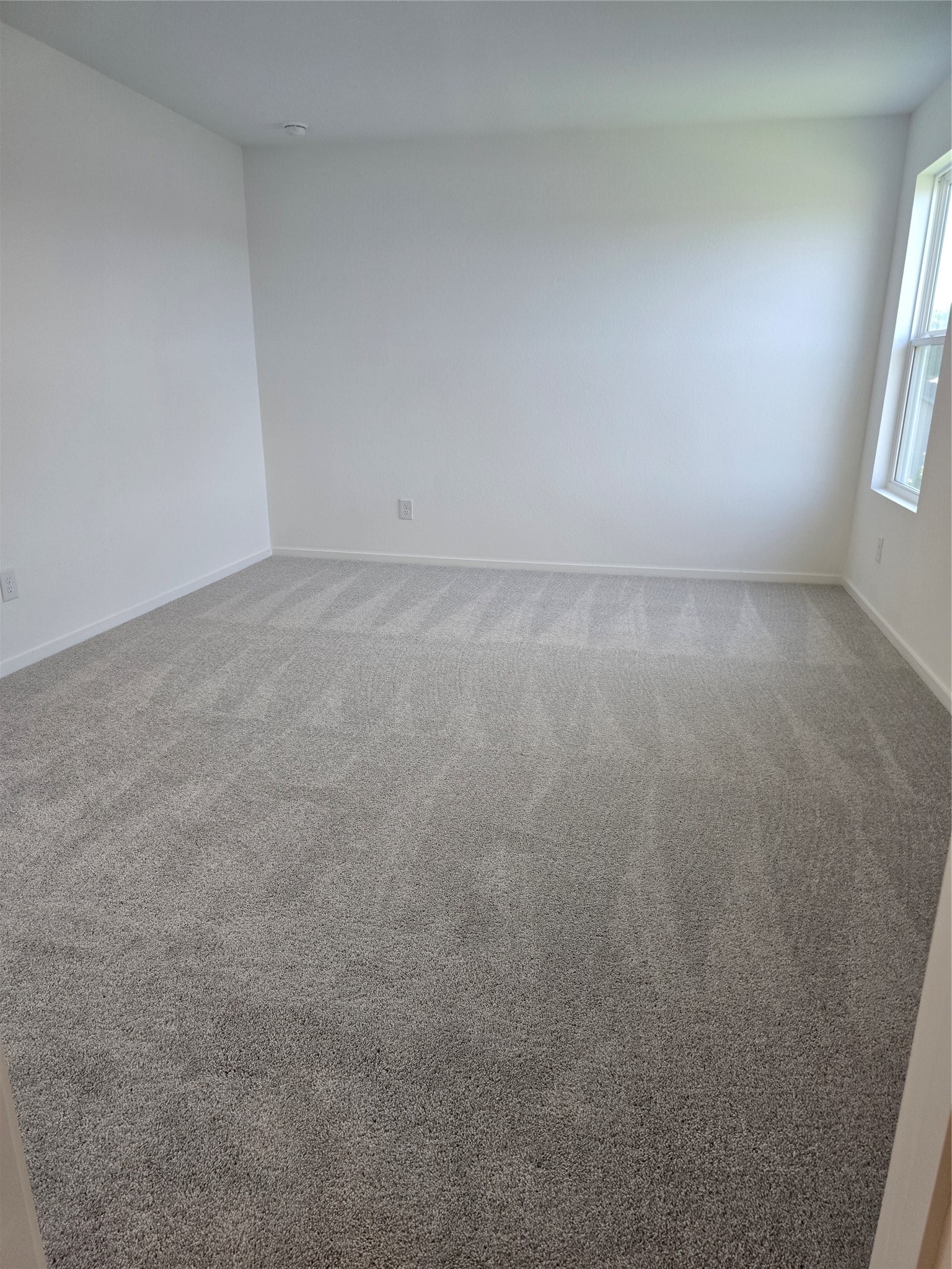 25446 Carnation Court Property Photo 11